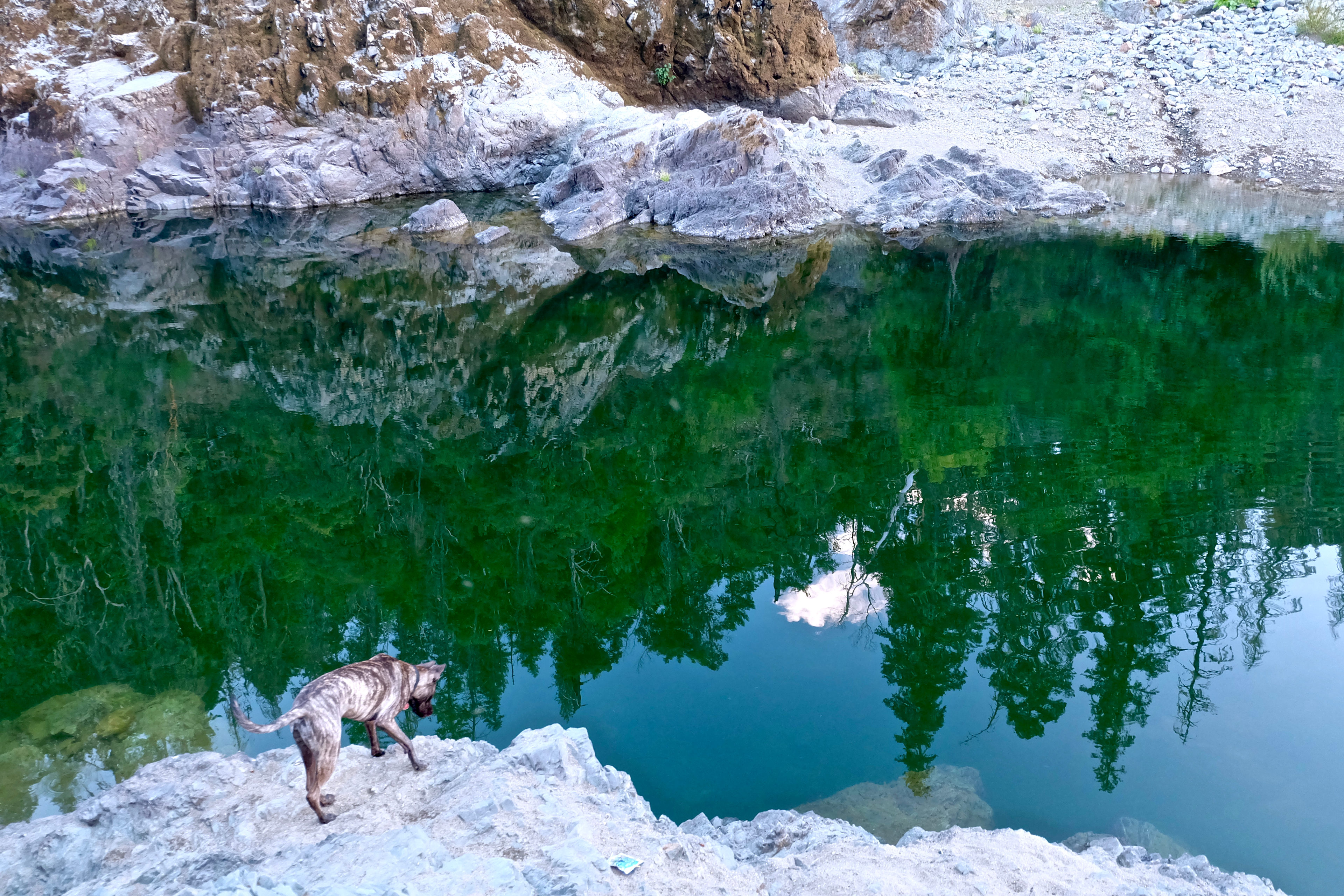 The water in the Illinois river is still and gorgeous.