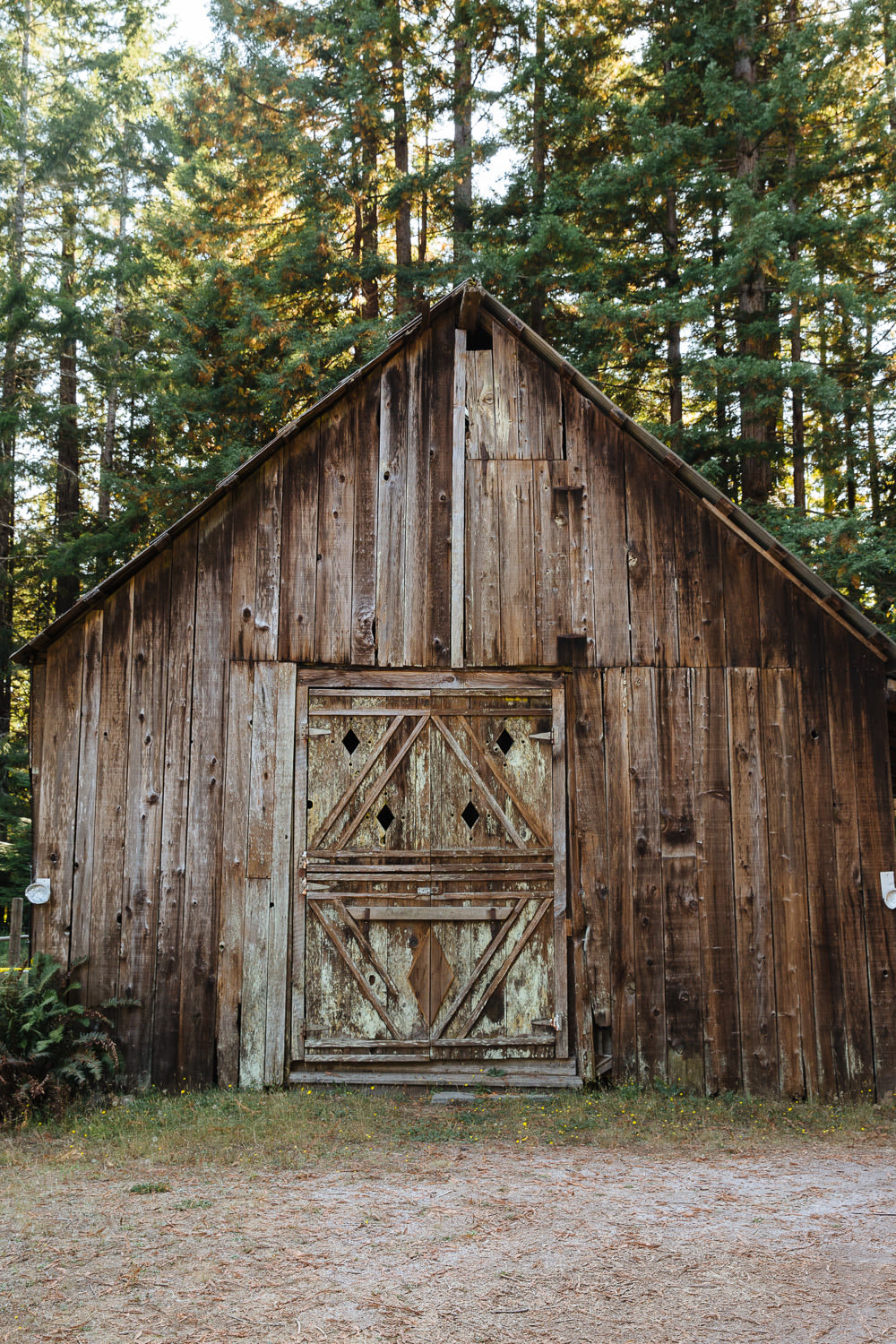 Original homesteader barn directly across from cabin