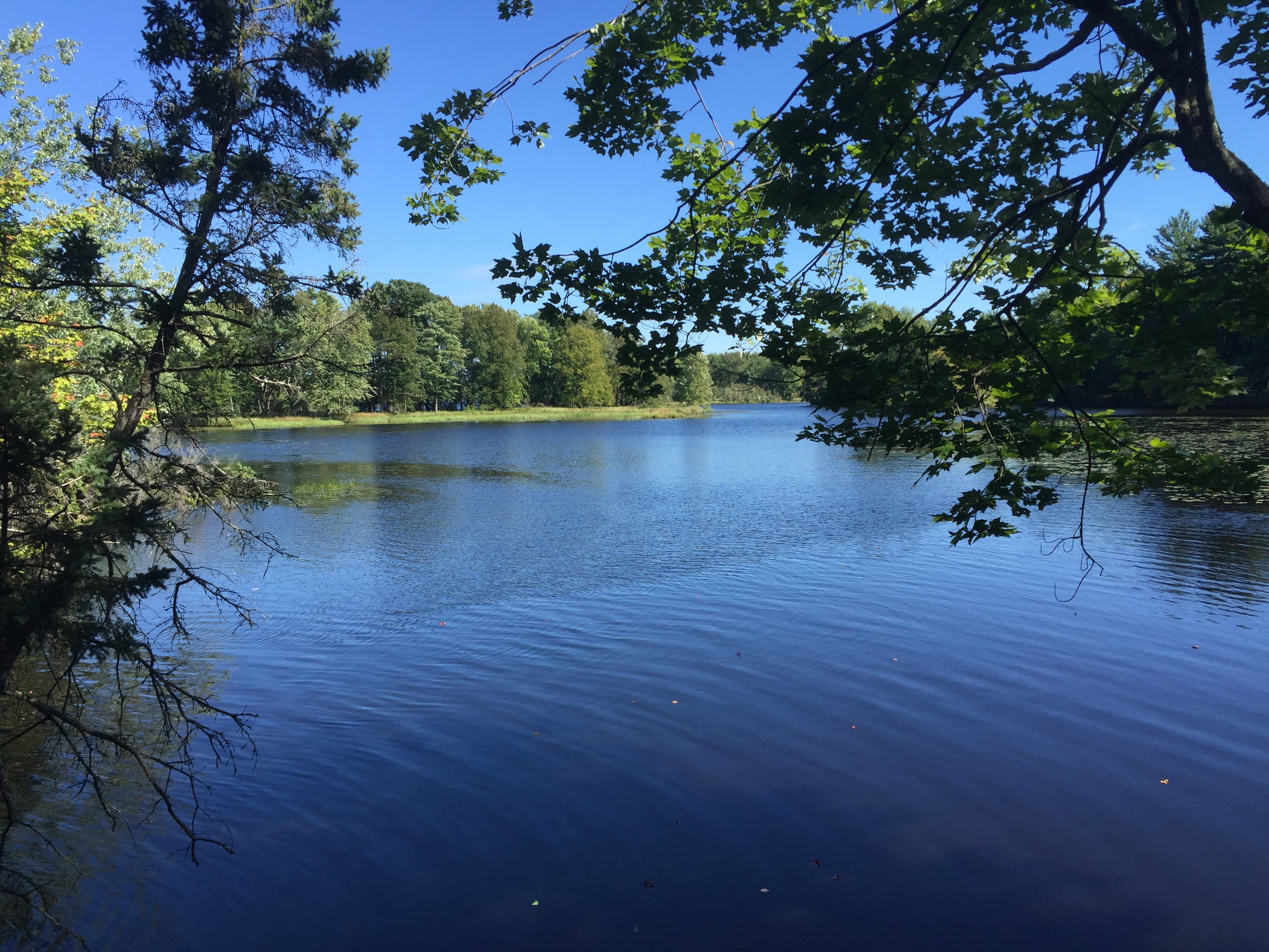 A vista from the Jean Brunet Nature Trail.