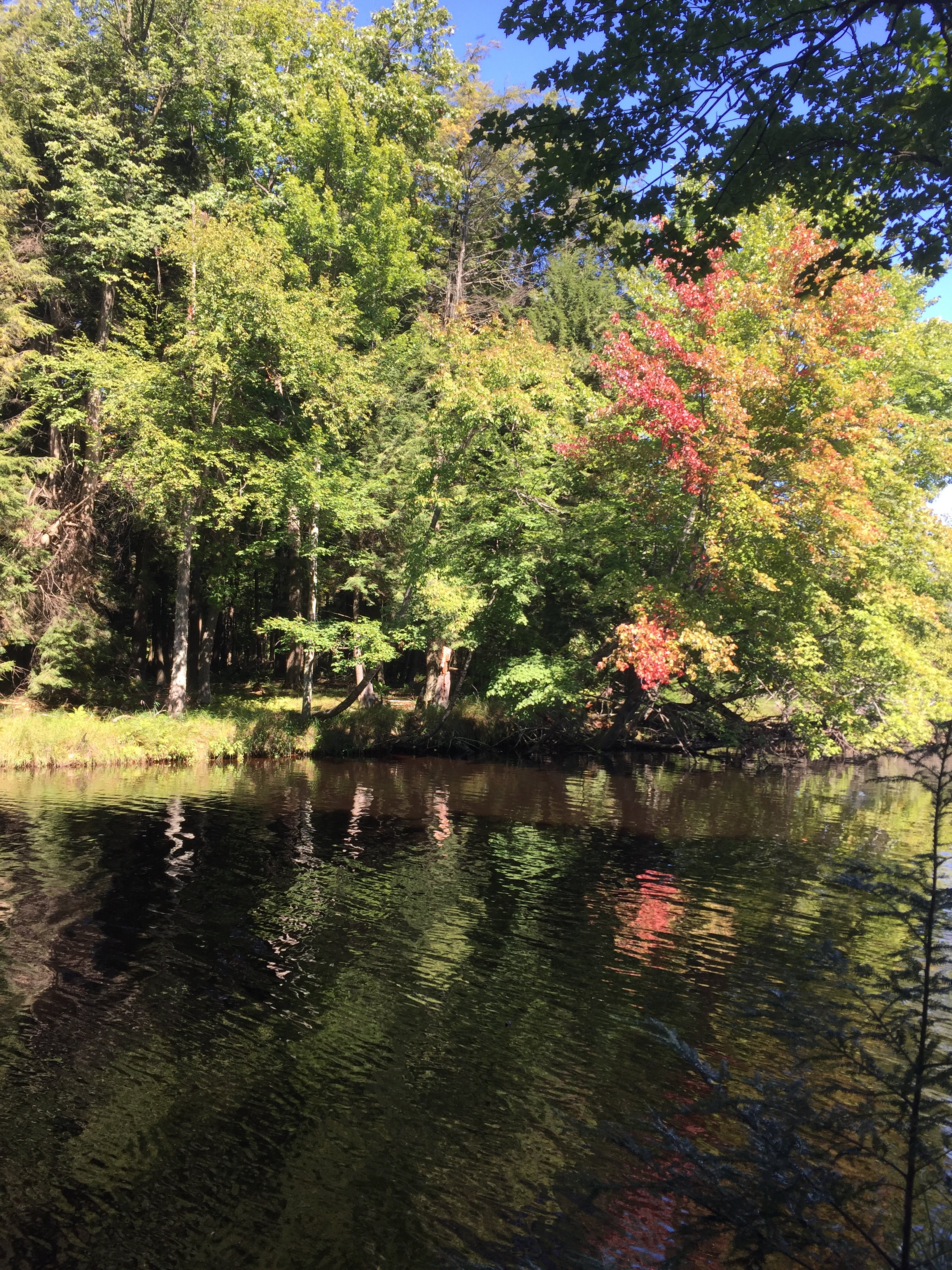 Fall colors just starting to pop in early September.
