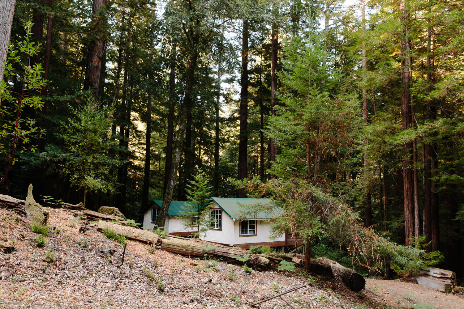 Nestled in the woods