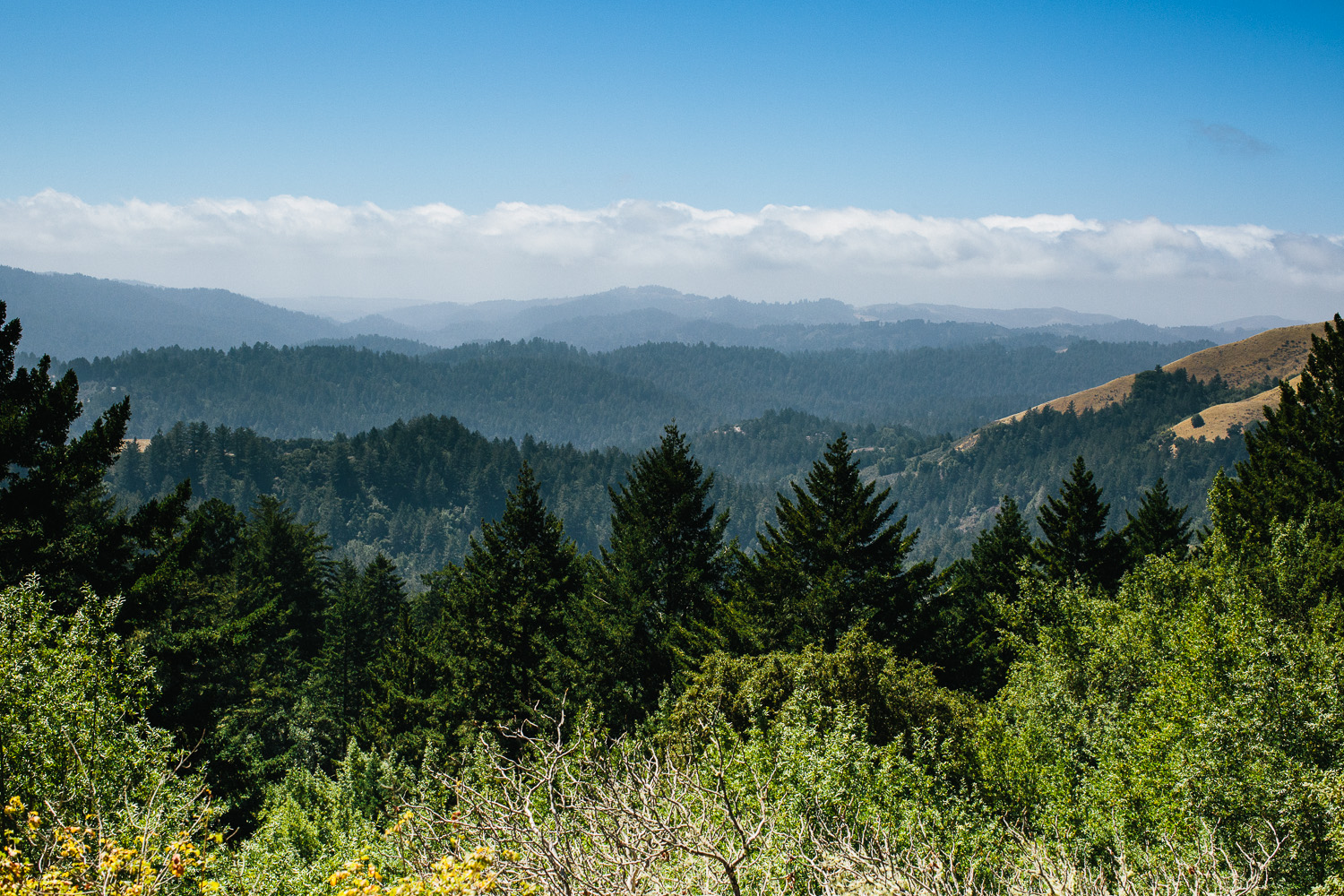 Views on the way in from Alpine Road