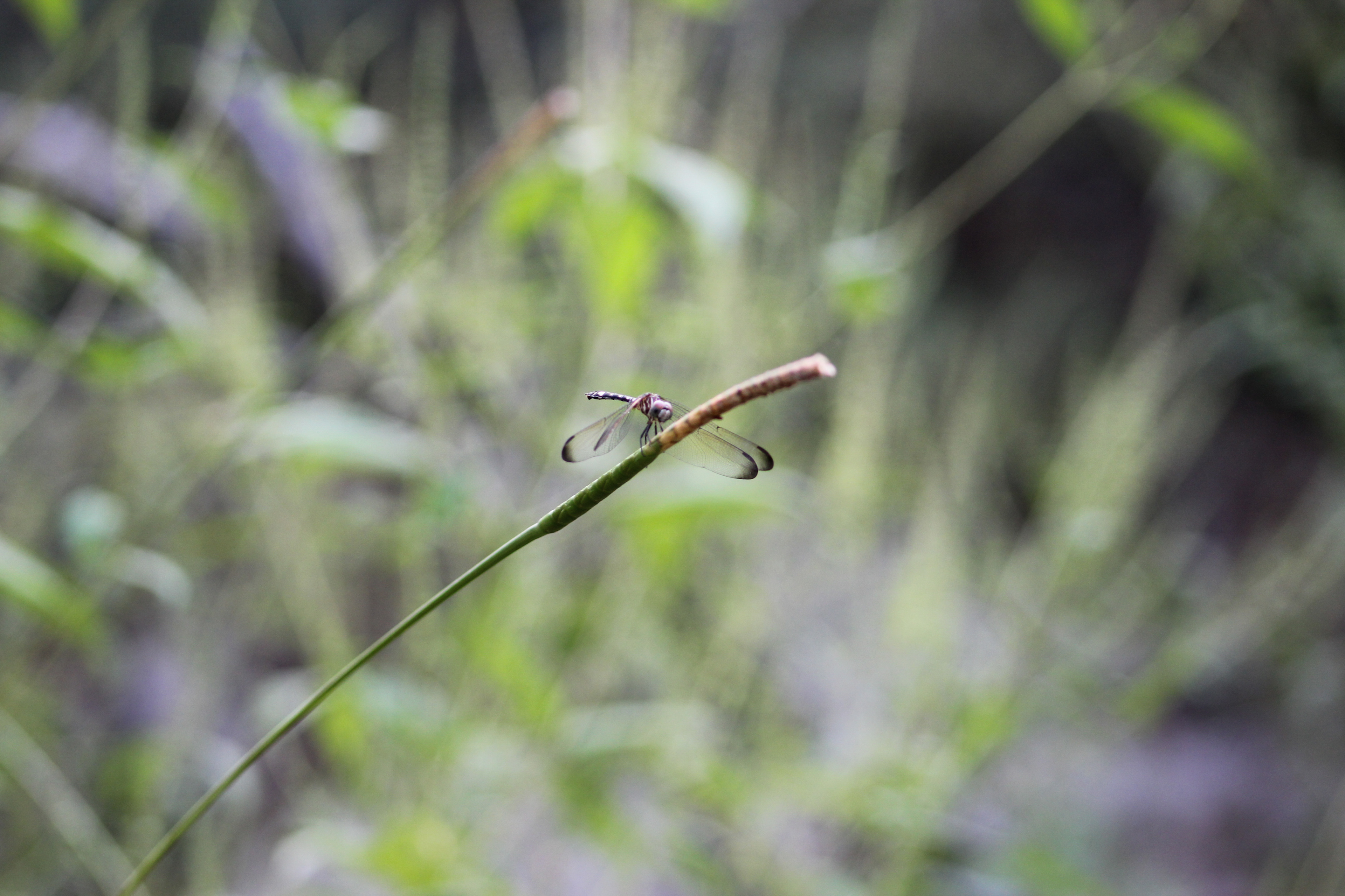There are a lot of things to sit and watch