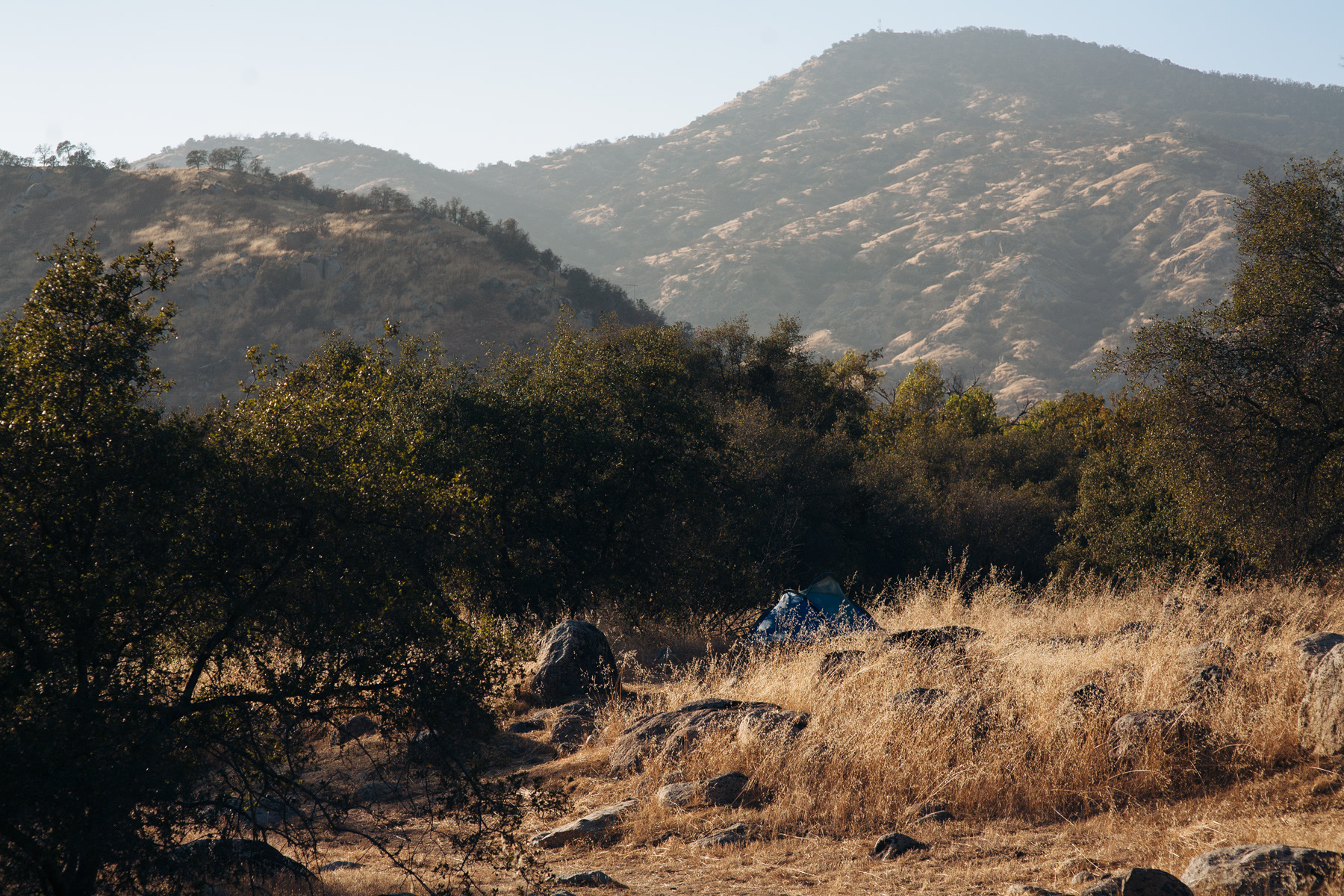 I spy a blue tent hidden in the grass