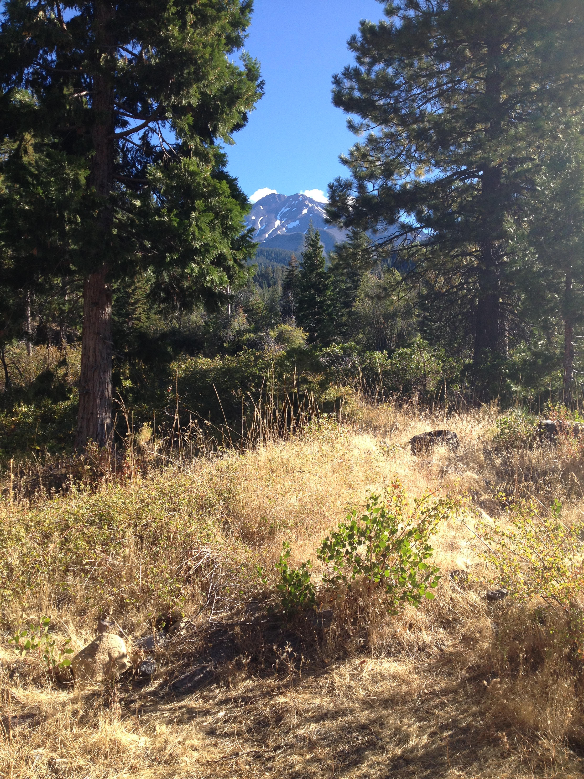 The view from my campsite.