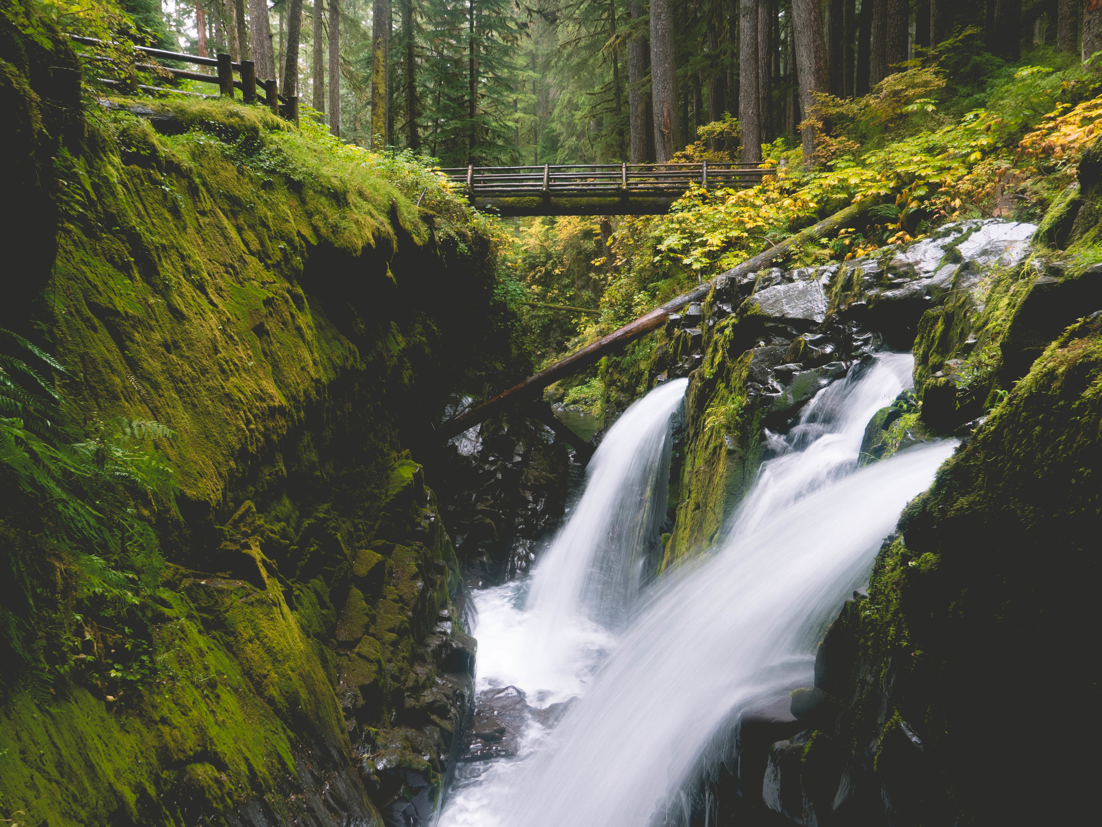Sol Duc Falls