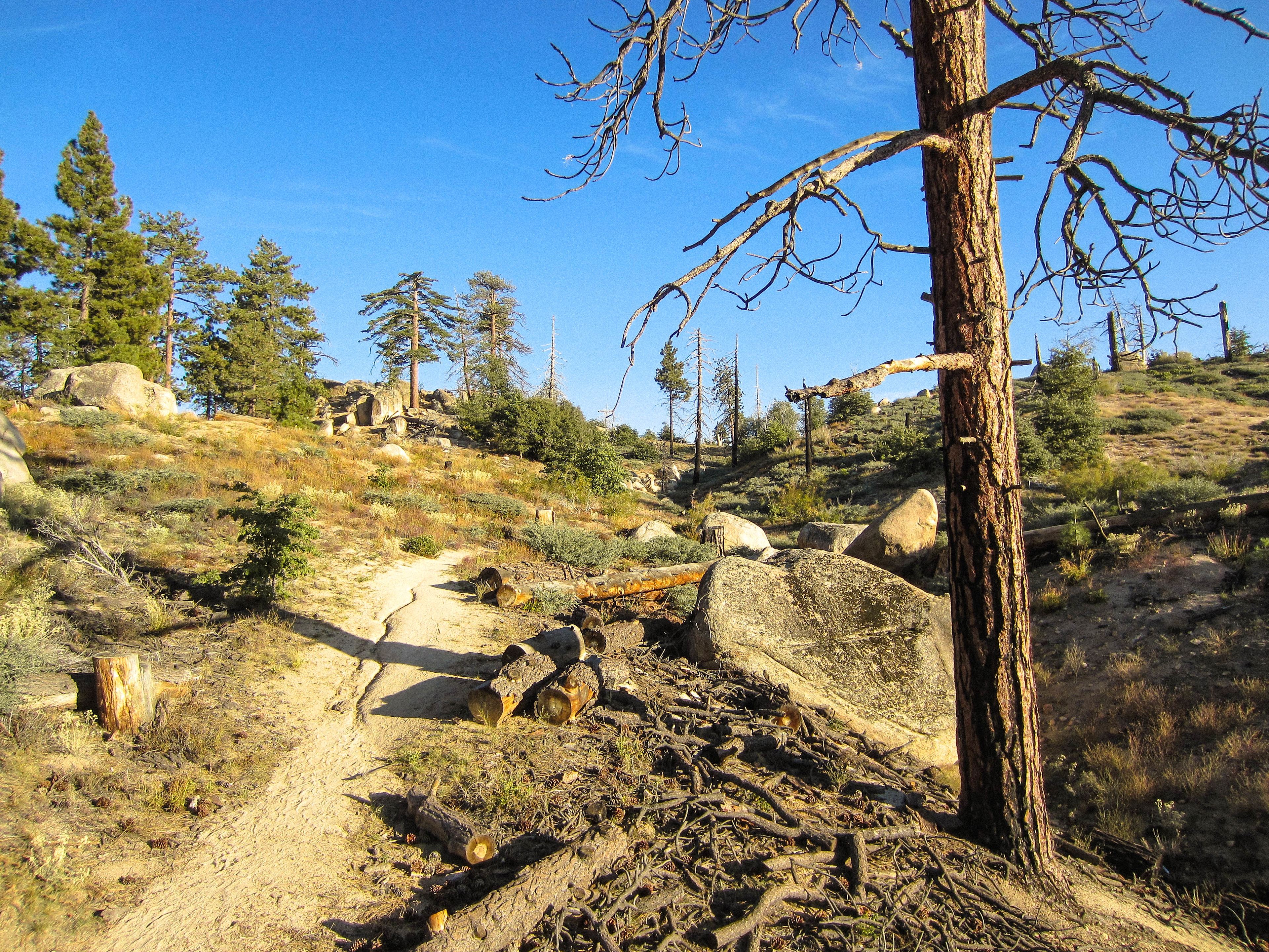 On the Hanna Flat trail