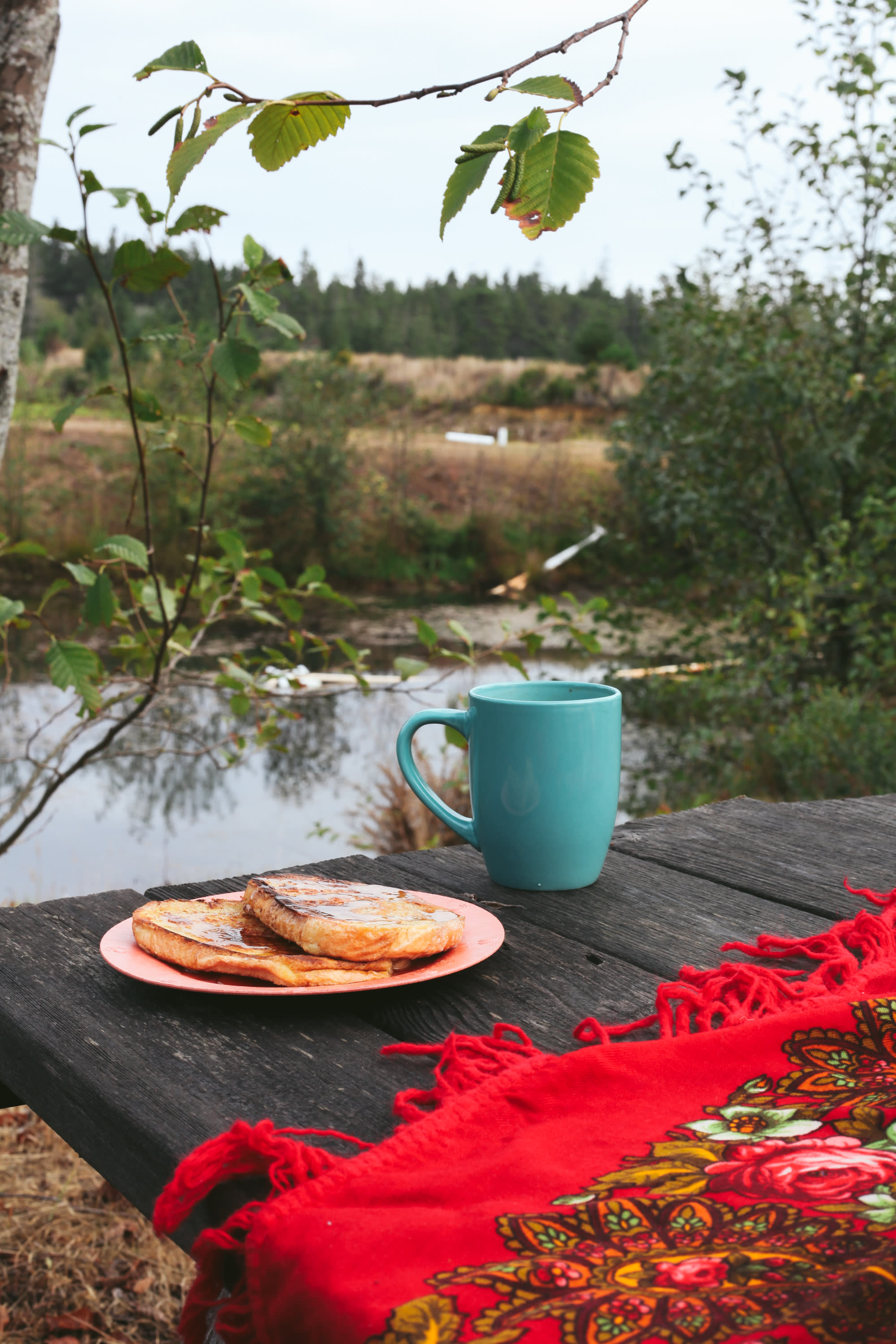 Great morning looking out over the bog!
