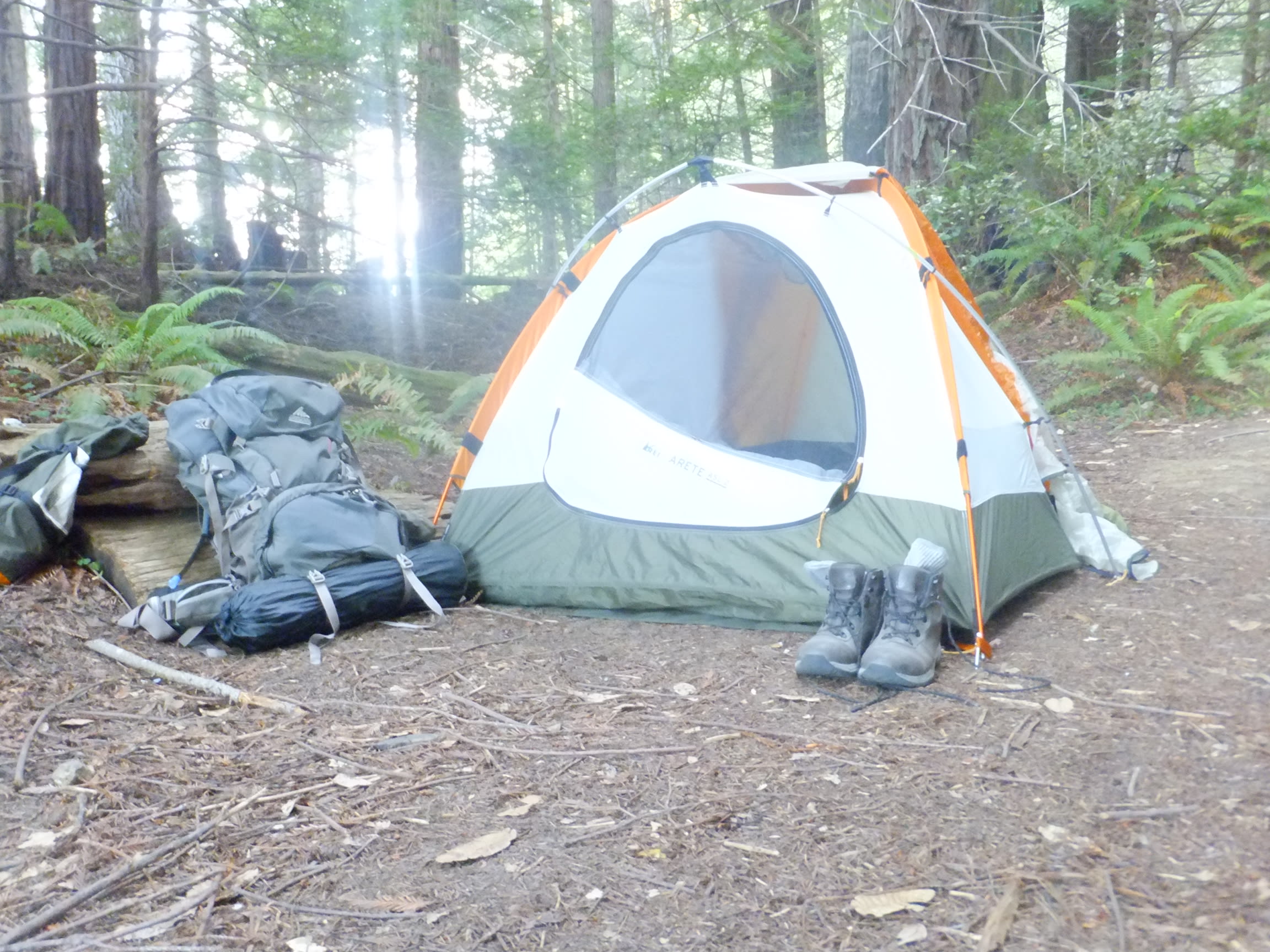 Ran out of daylight about halfway to the beach campground, so set up camp just off the trail