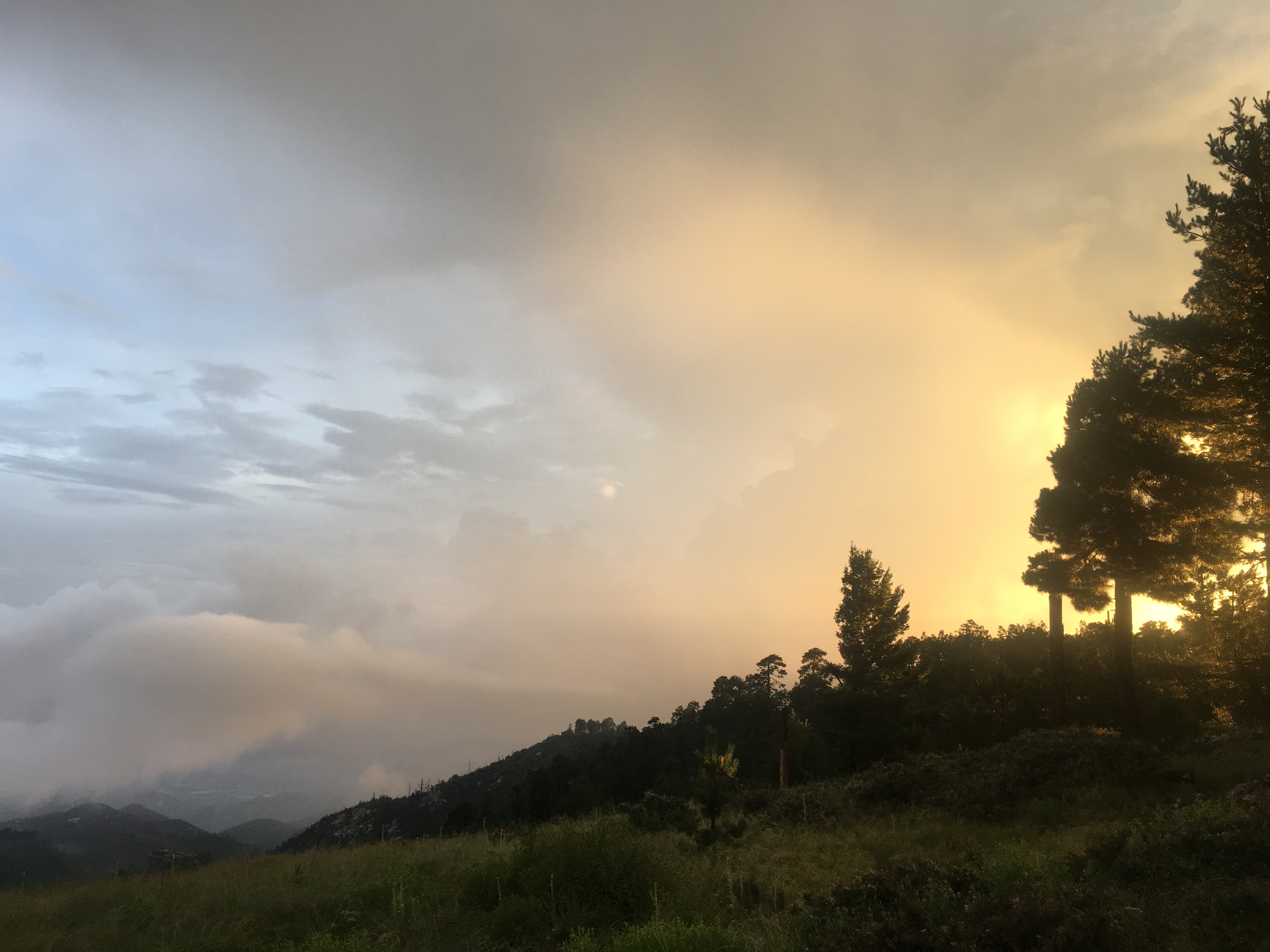 Sunset from a higher spot.. so many wild flowers at the end of summer. Monsoon storms hit this part of the mountain hard, so put you tent on high ground and be prepared to wait it out. The clouds also envelope the whole mountain, leaving you in thick fog.
