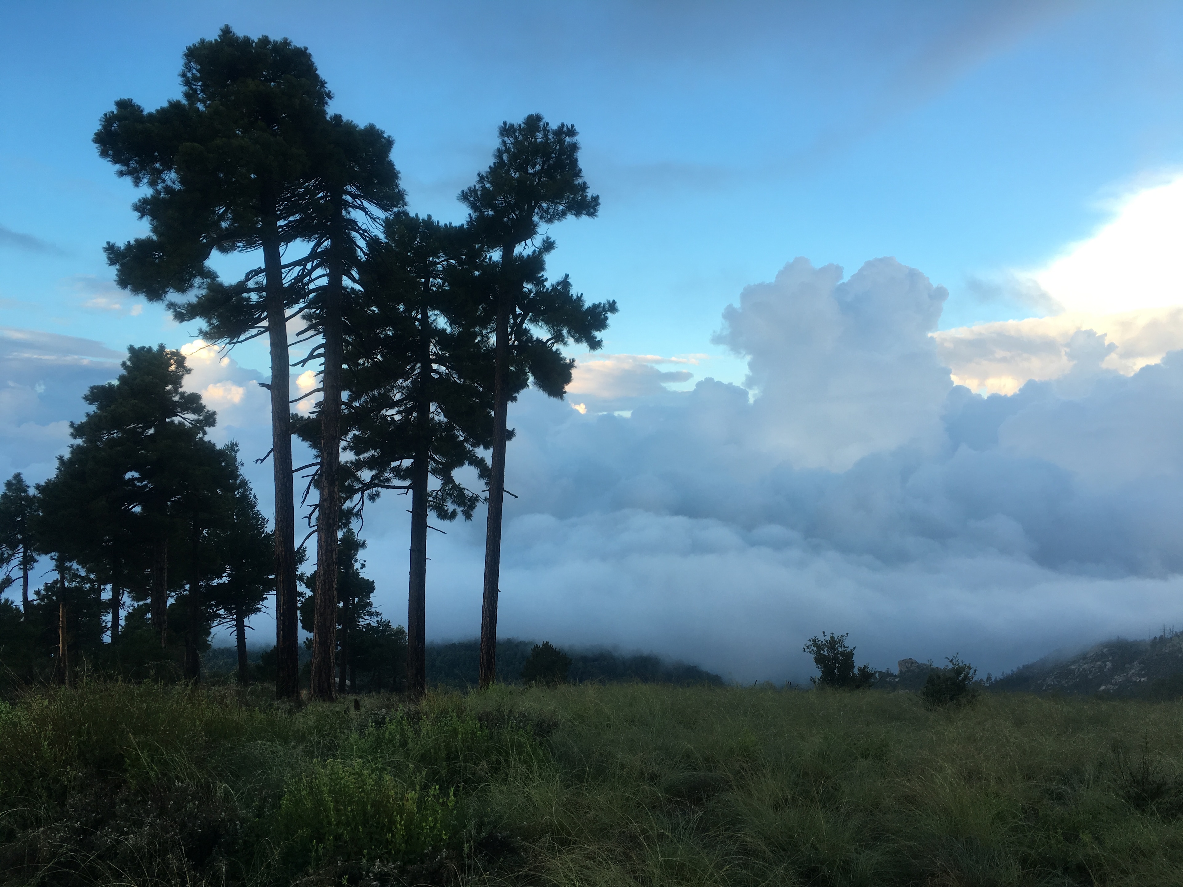 5 am, above the clouds!