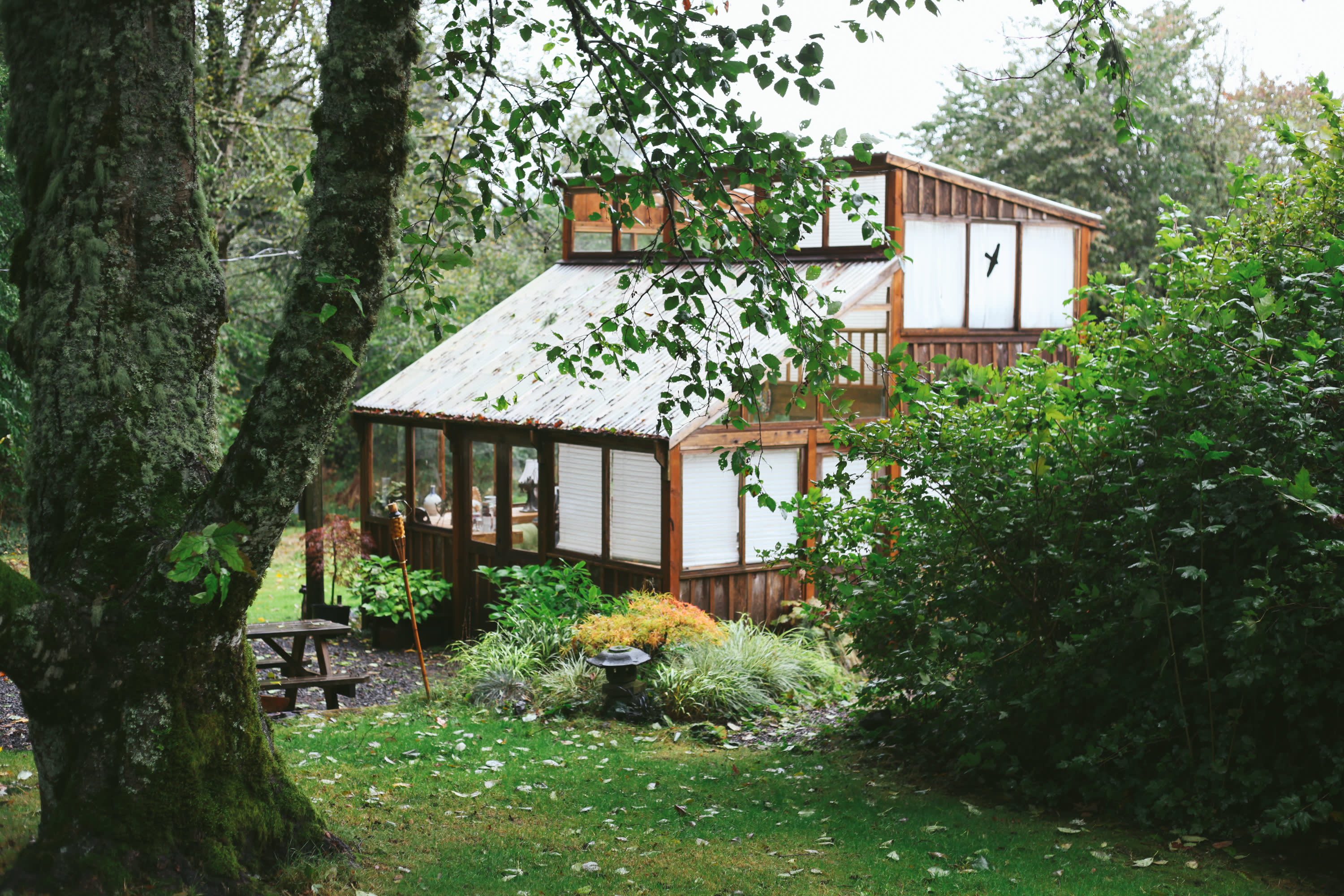 Looking down toward the Bali House from Kristin's House