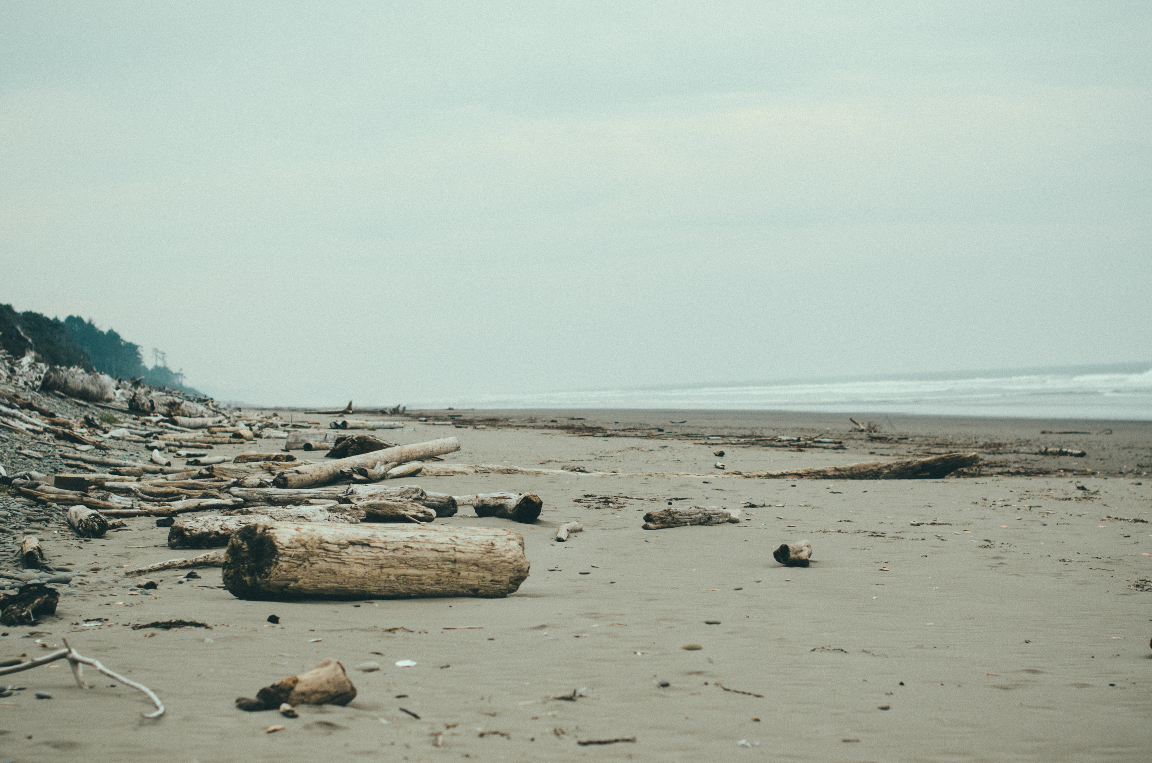Driftwood along the Washington Coastline. This was one of many beaches I drove past on my trip from Portland to the Bogachiel River Campsite. 