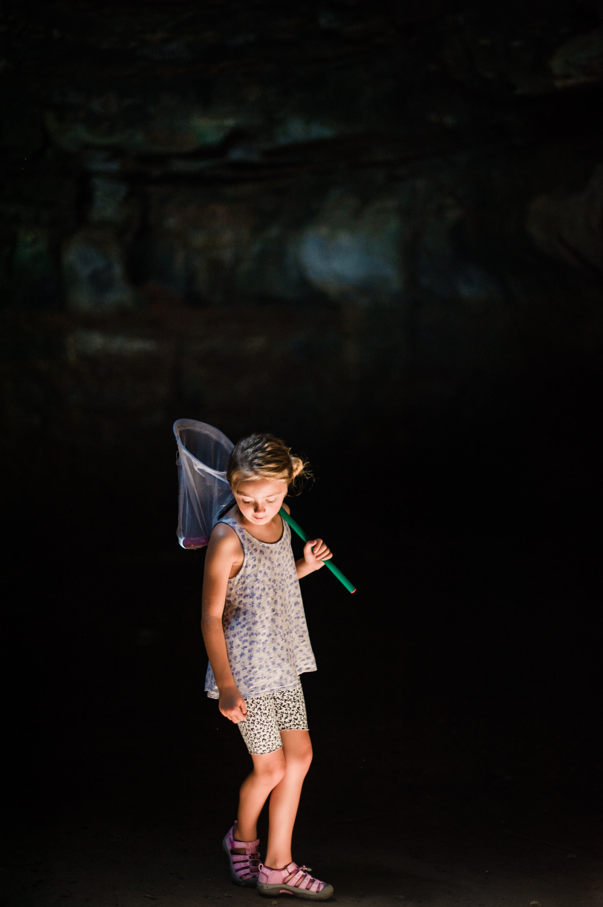 Cave-in-Rock overlooks the Ohio River, where you can climb and explore as well as learn of its outlaw infamy!