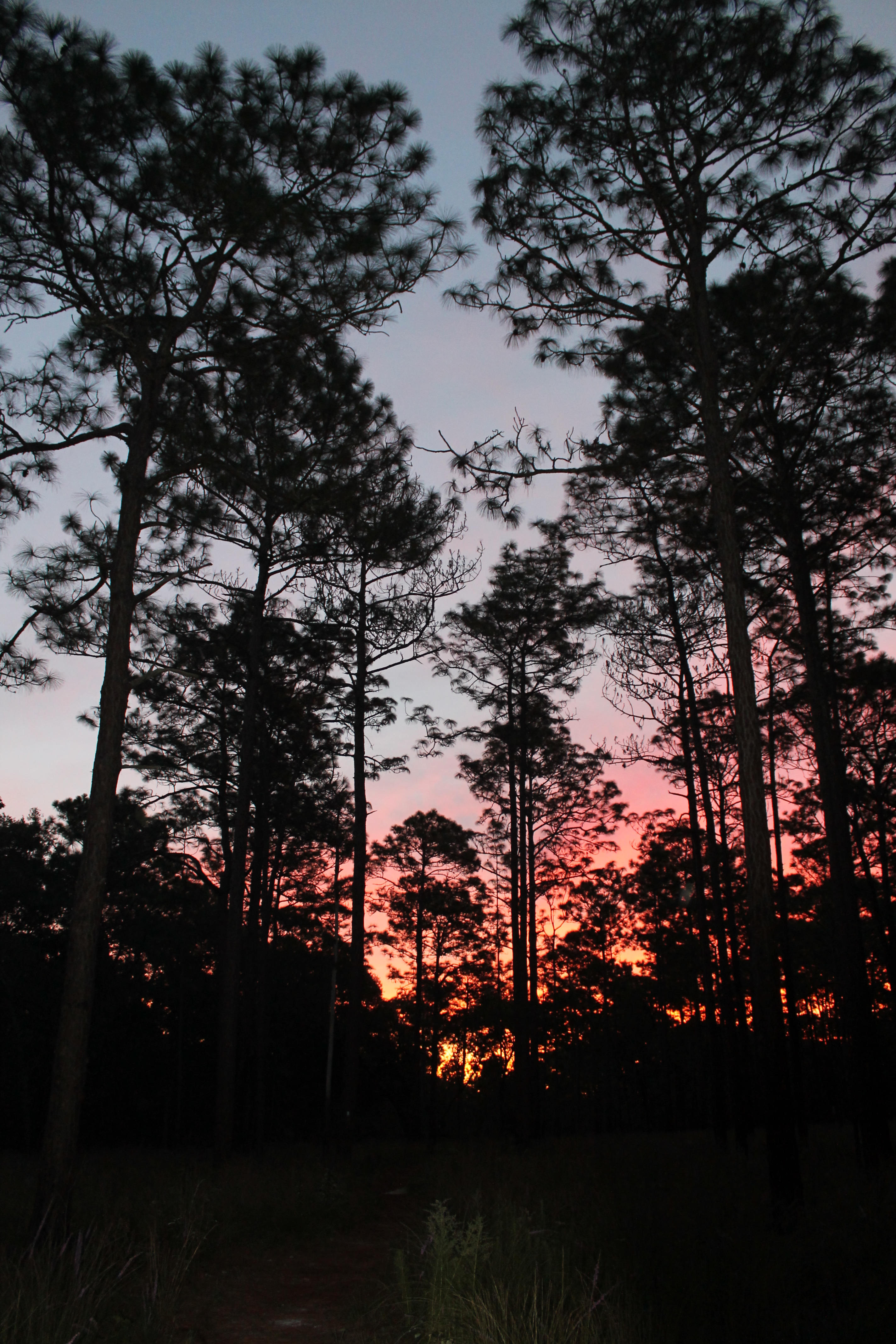 Wekiwa Springs Campground