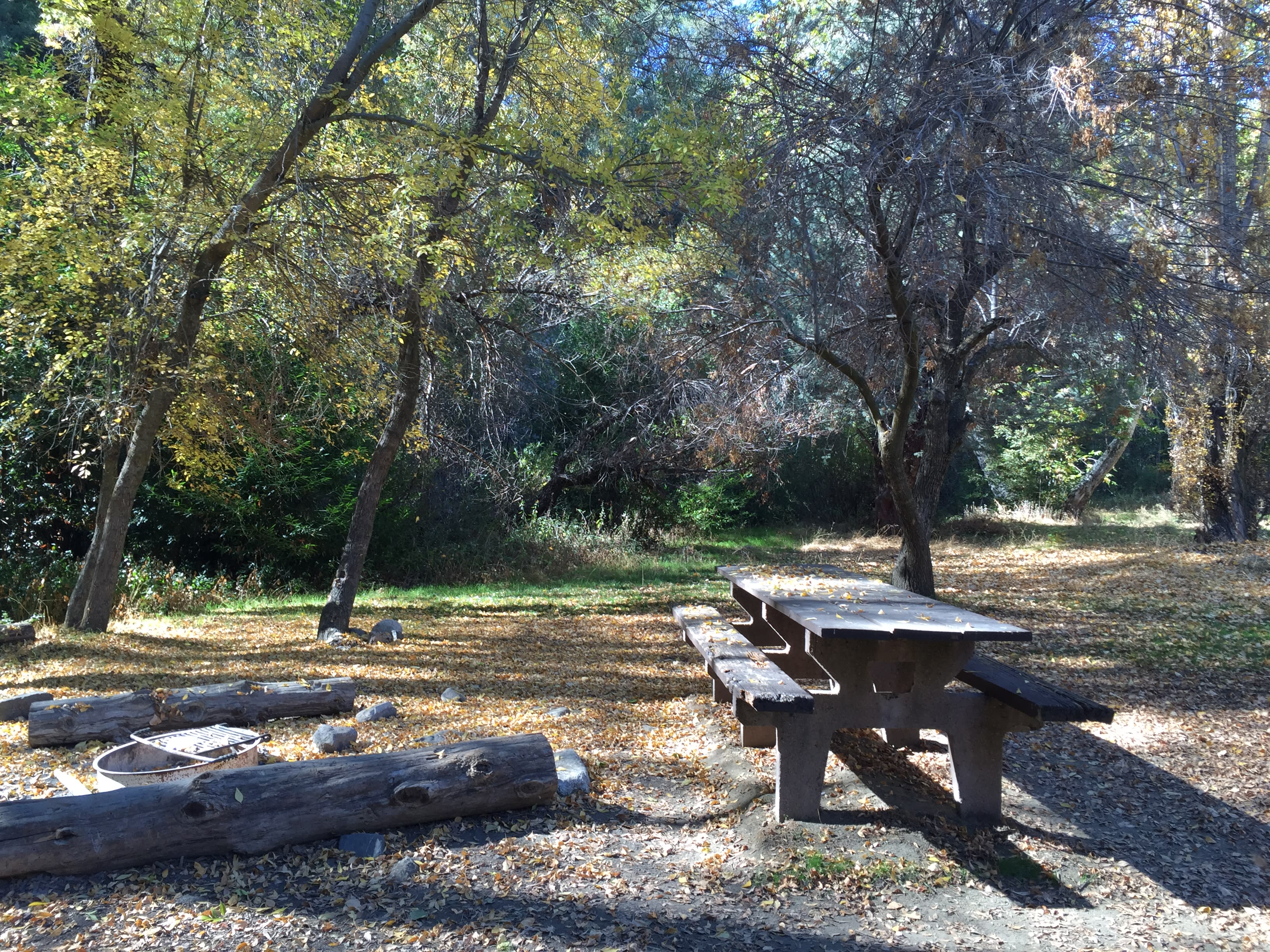The view from looking right outside our tent. Nice picnic bench, fire pit, and logs to sit on. 