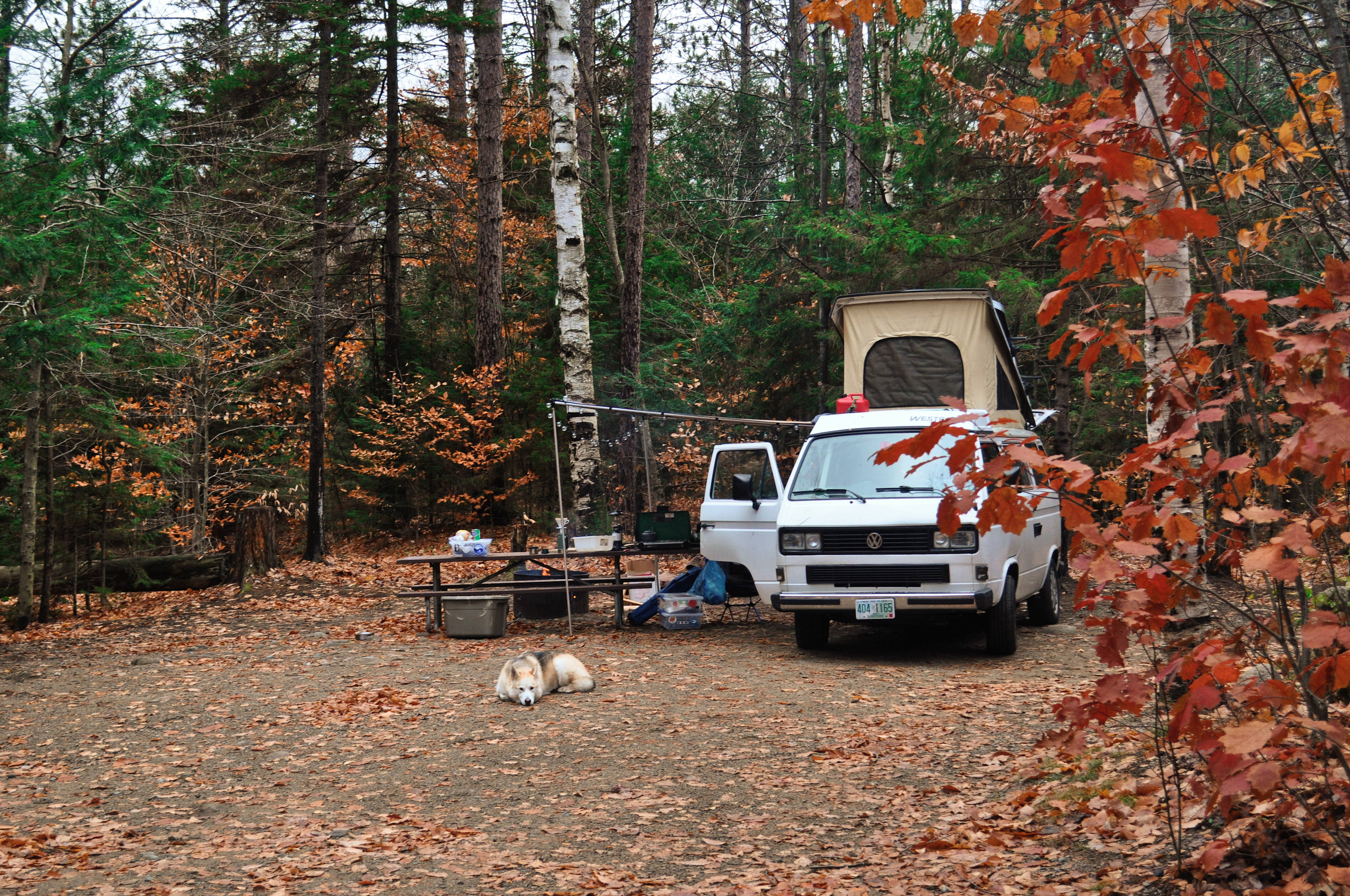 Easy van access, and a great fall campsite.