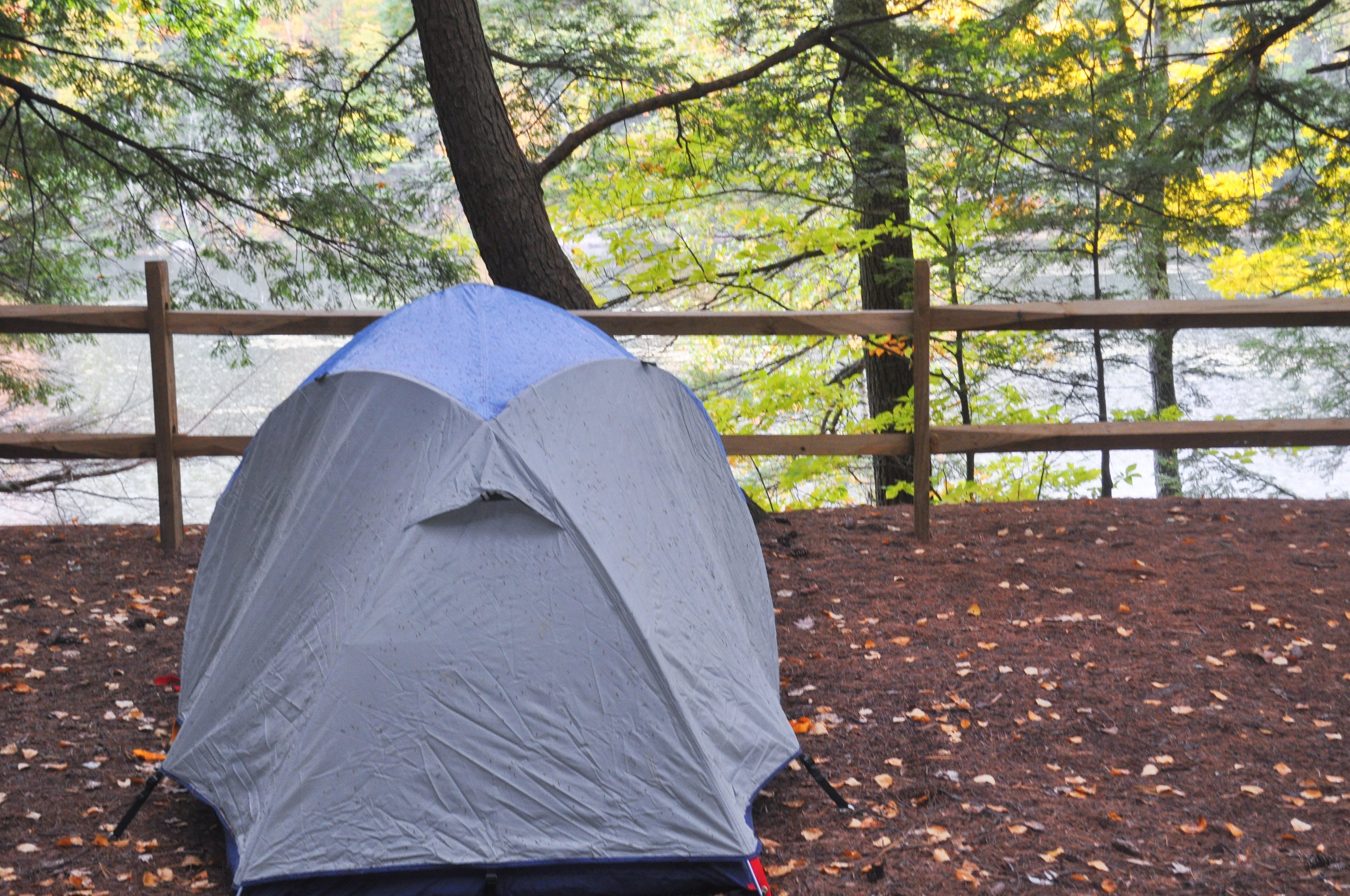 Out tent site overlooked the pond