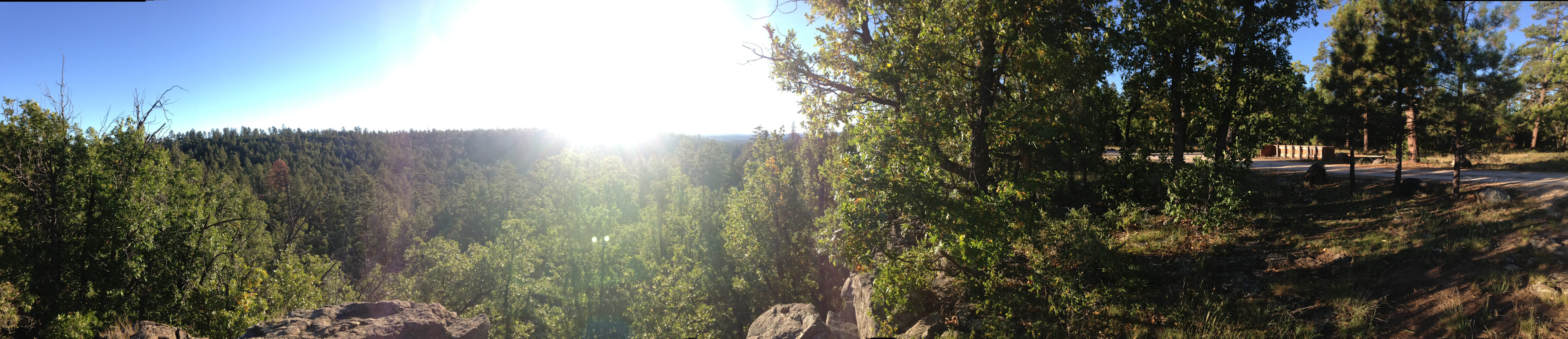 The view 15-feet from the tent.