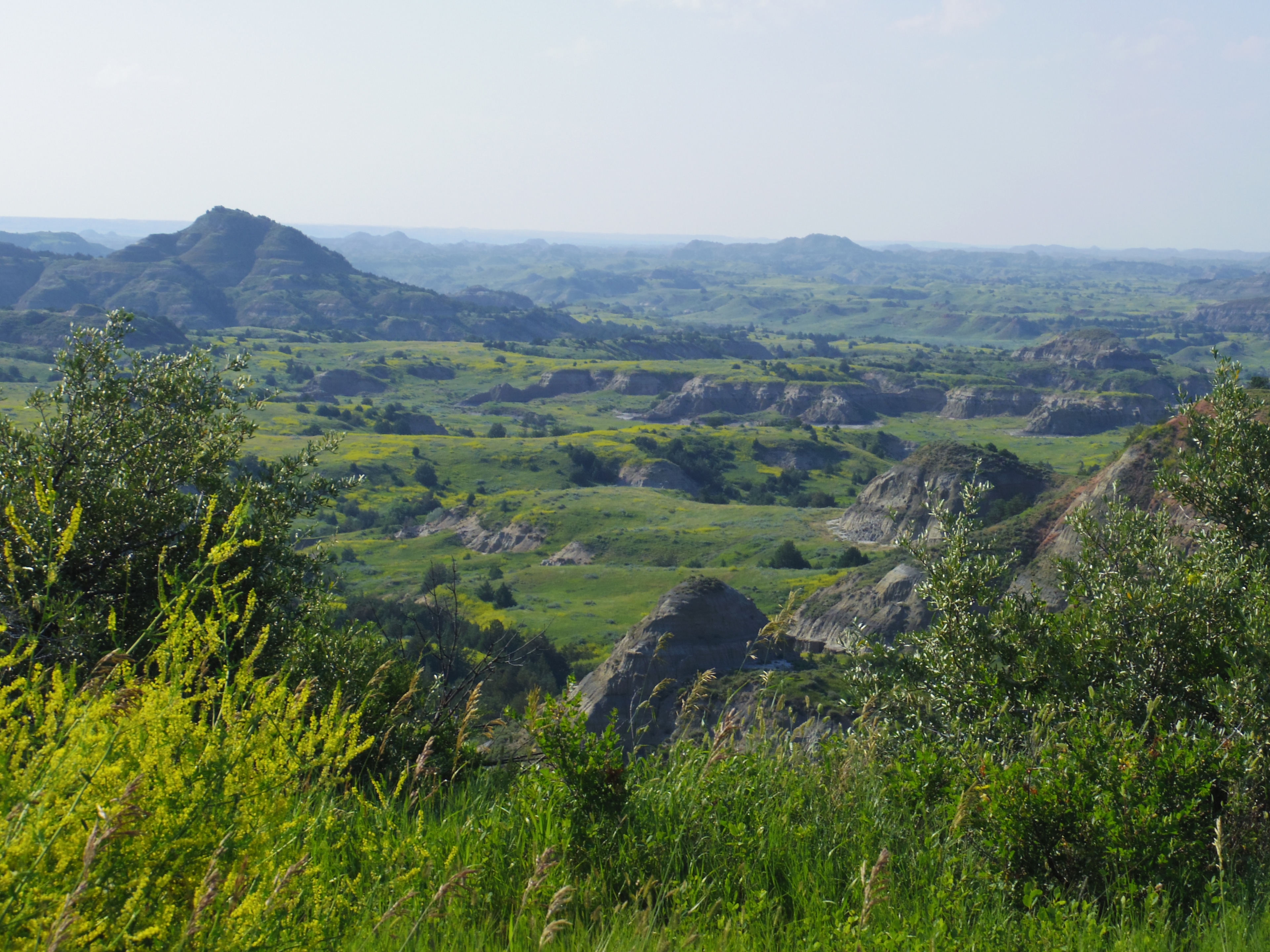 Theodore Roosevelt National Park