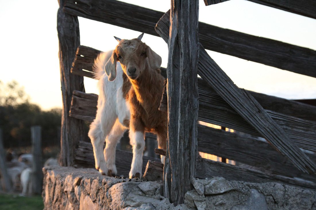 Redcreek Nature Ranch