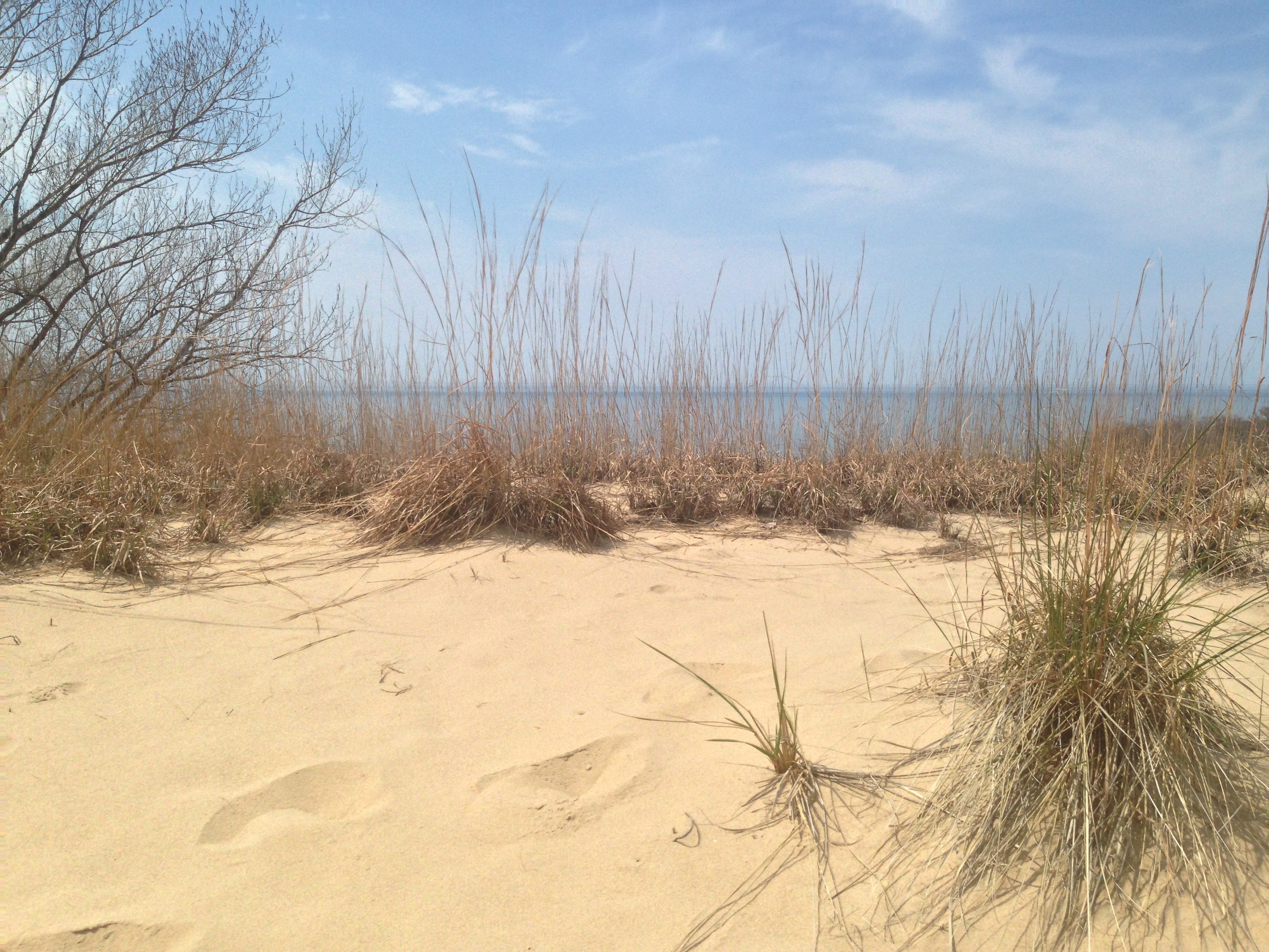 Warren Dunes Campground