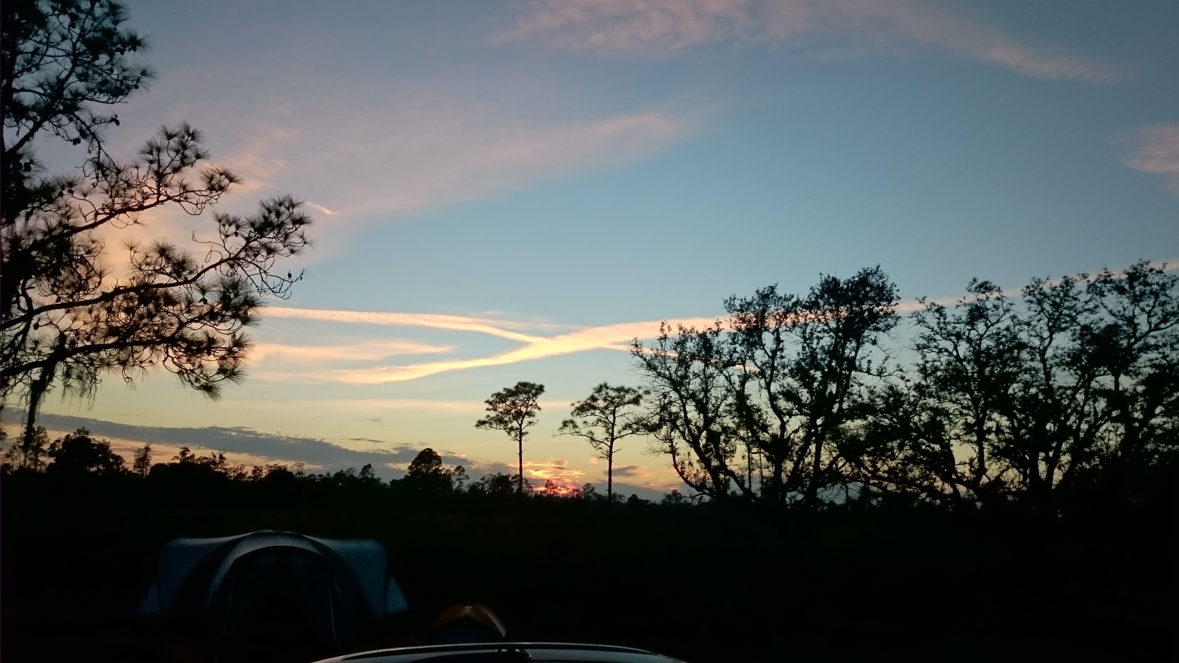 Highlands Hammock State Park