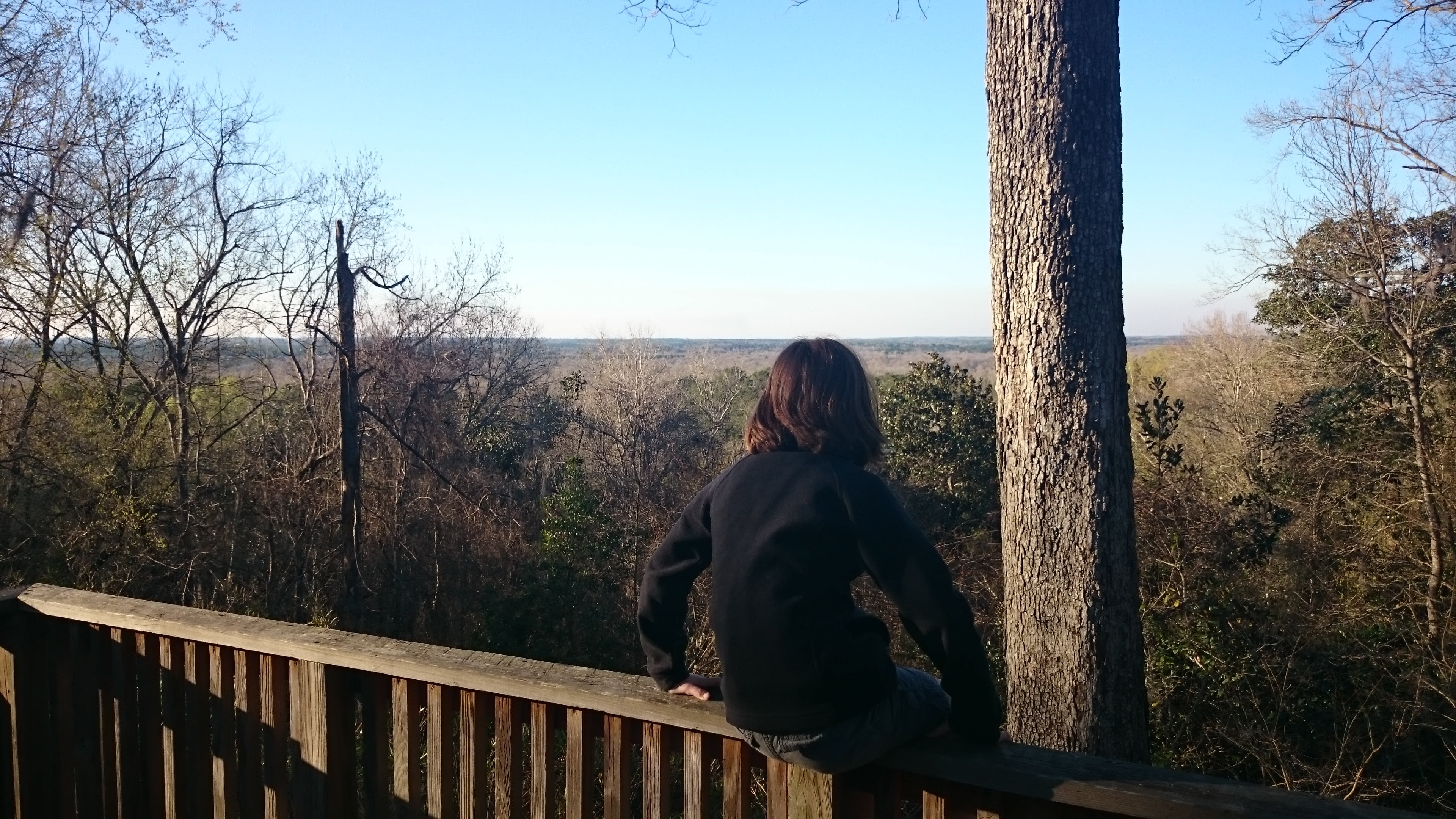 Torreya State Park