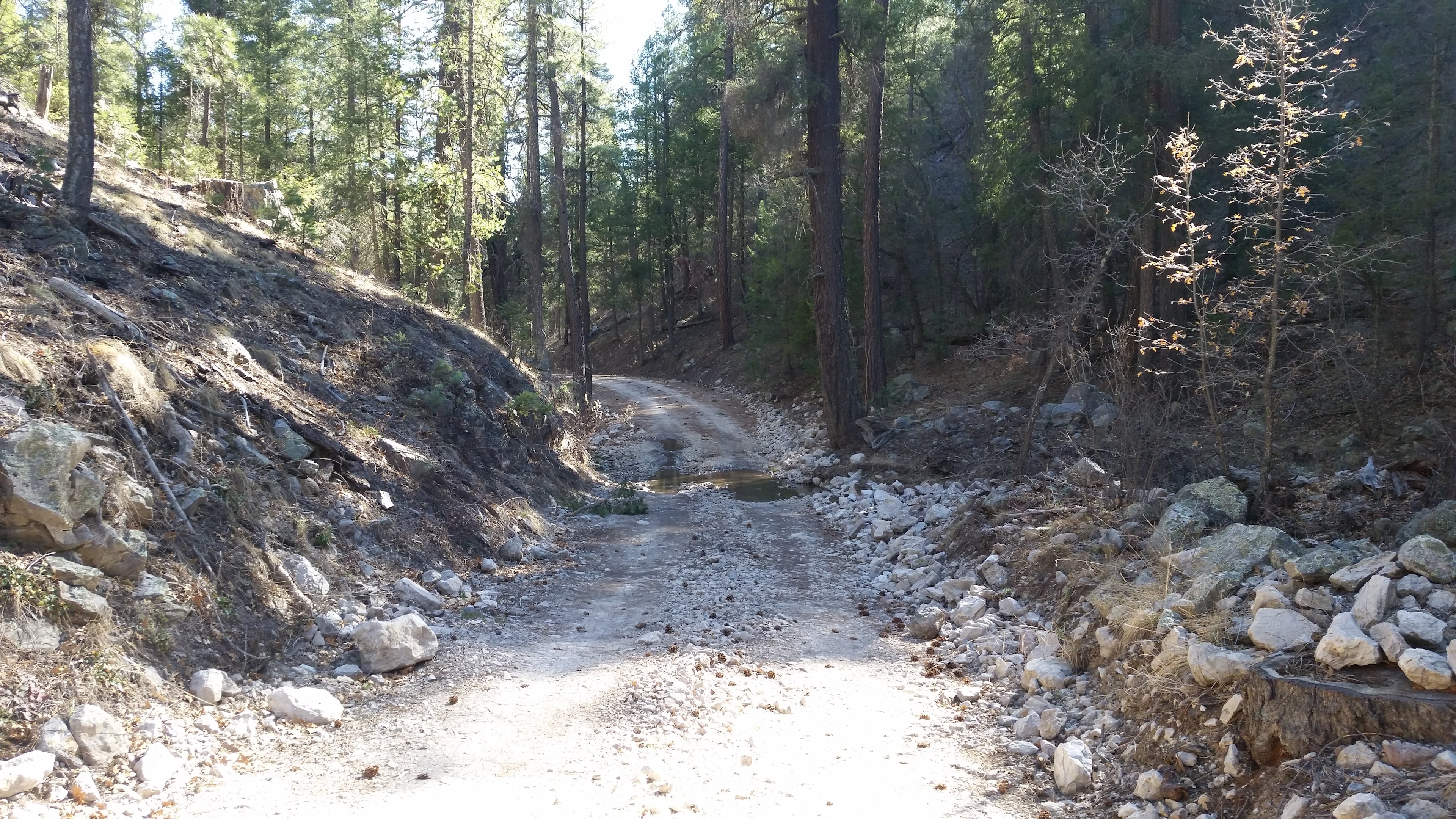 The road leading to the campsite.  RVs? Good luck with that...