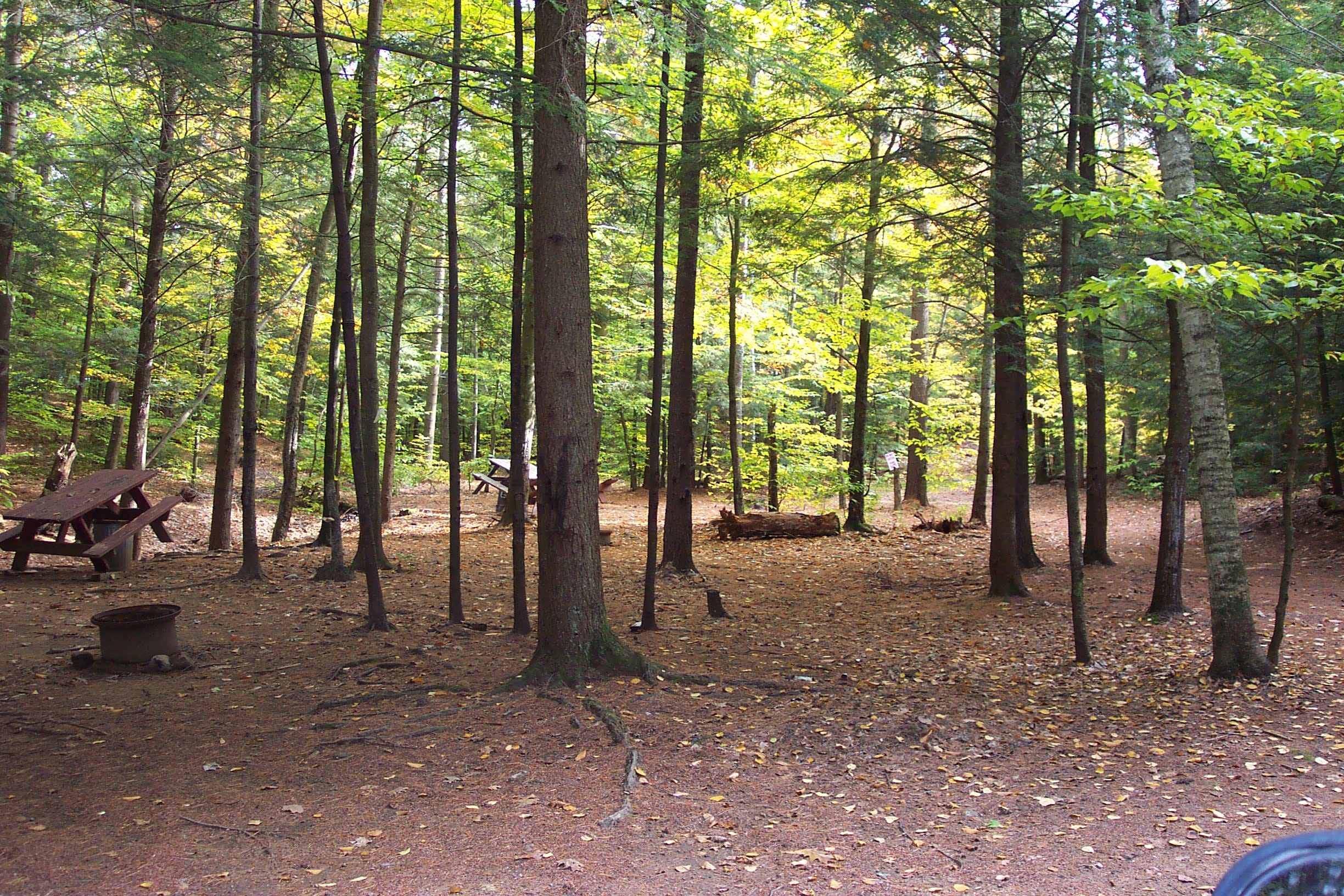 Tent site
