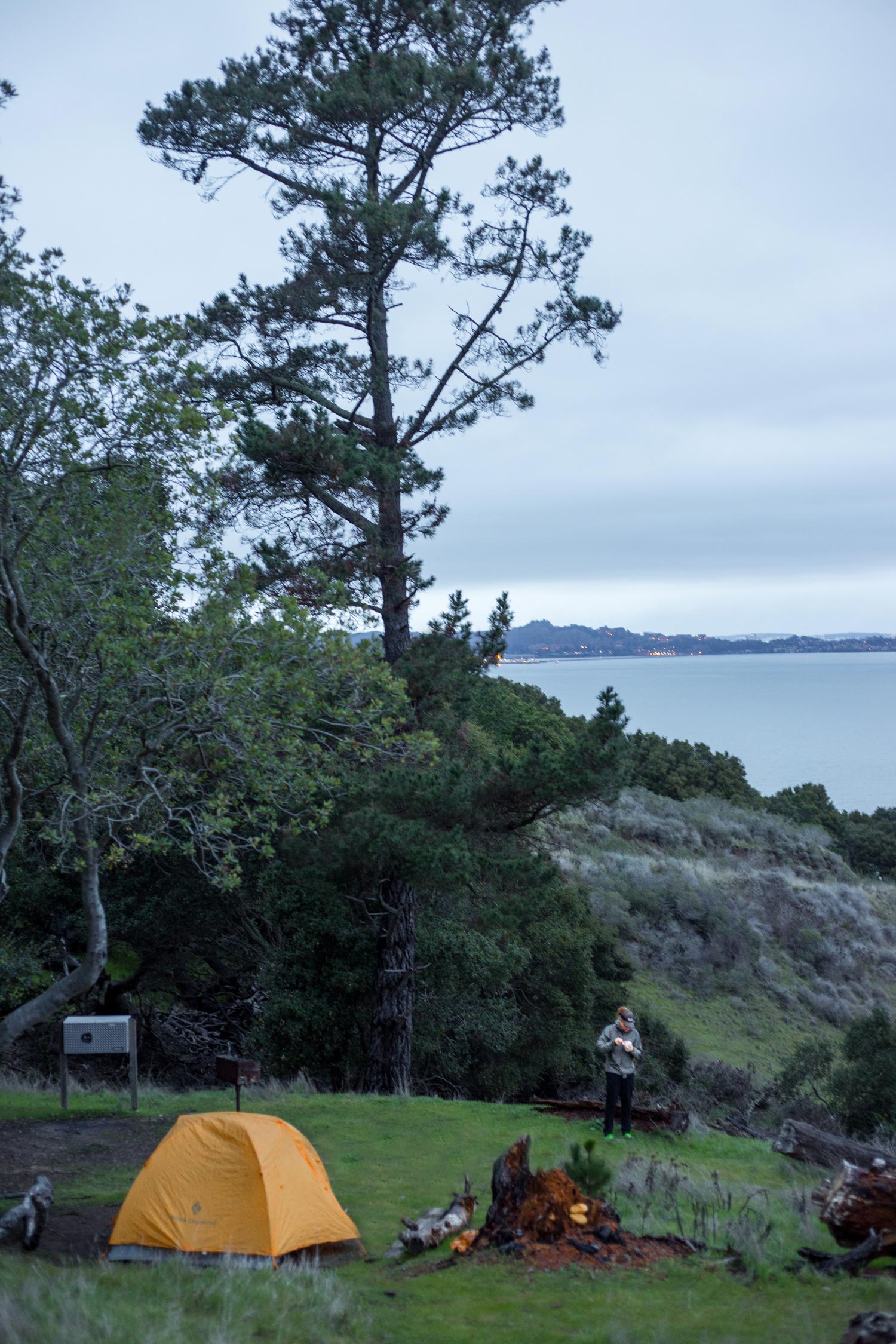East Bay site #2 is the best of the EB sites--it's got two awesome trees for sitting or hanging stuff on, it's super private, and it's got a view of the city.