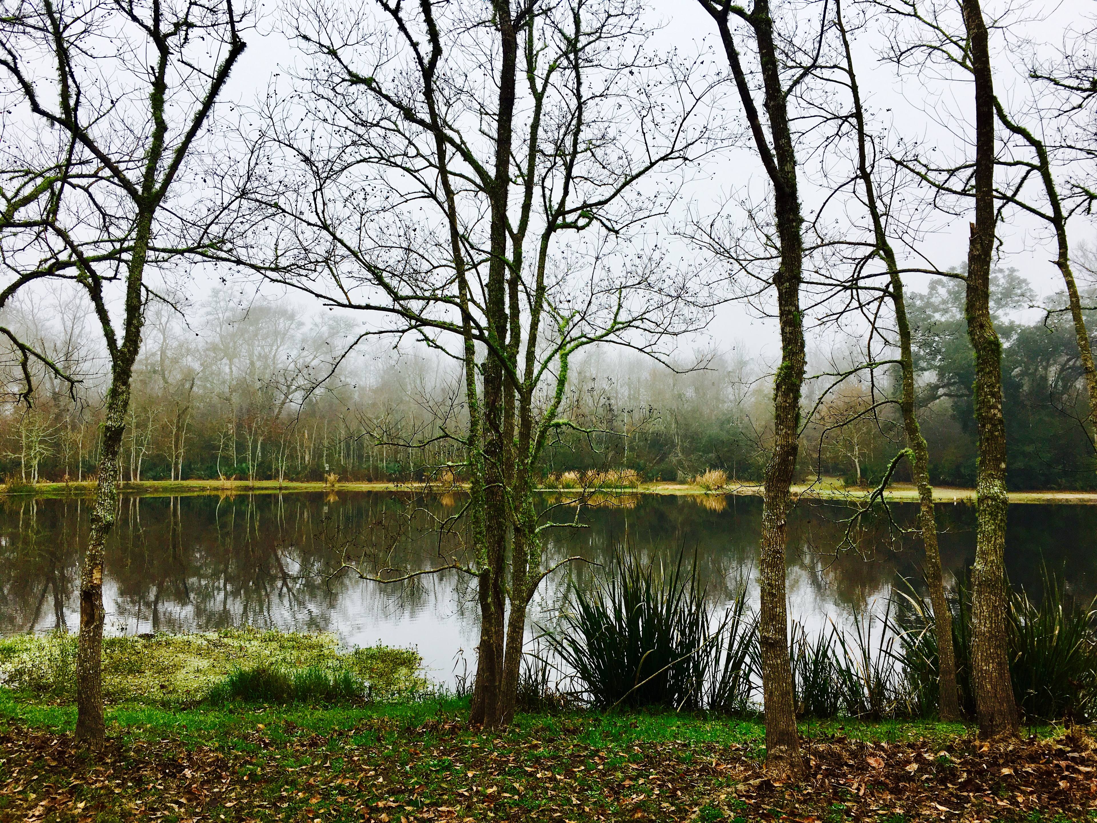 Palmetto Island State Park