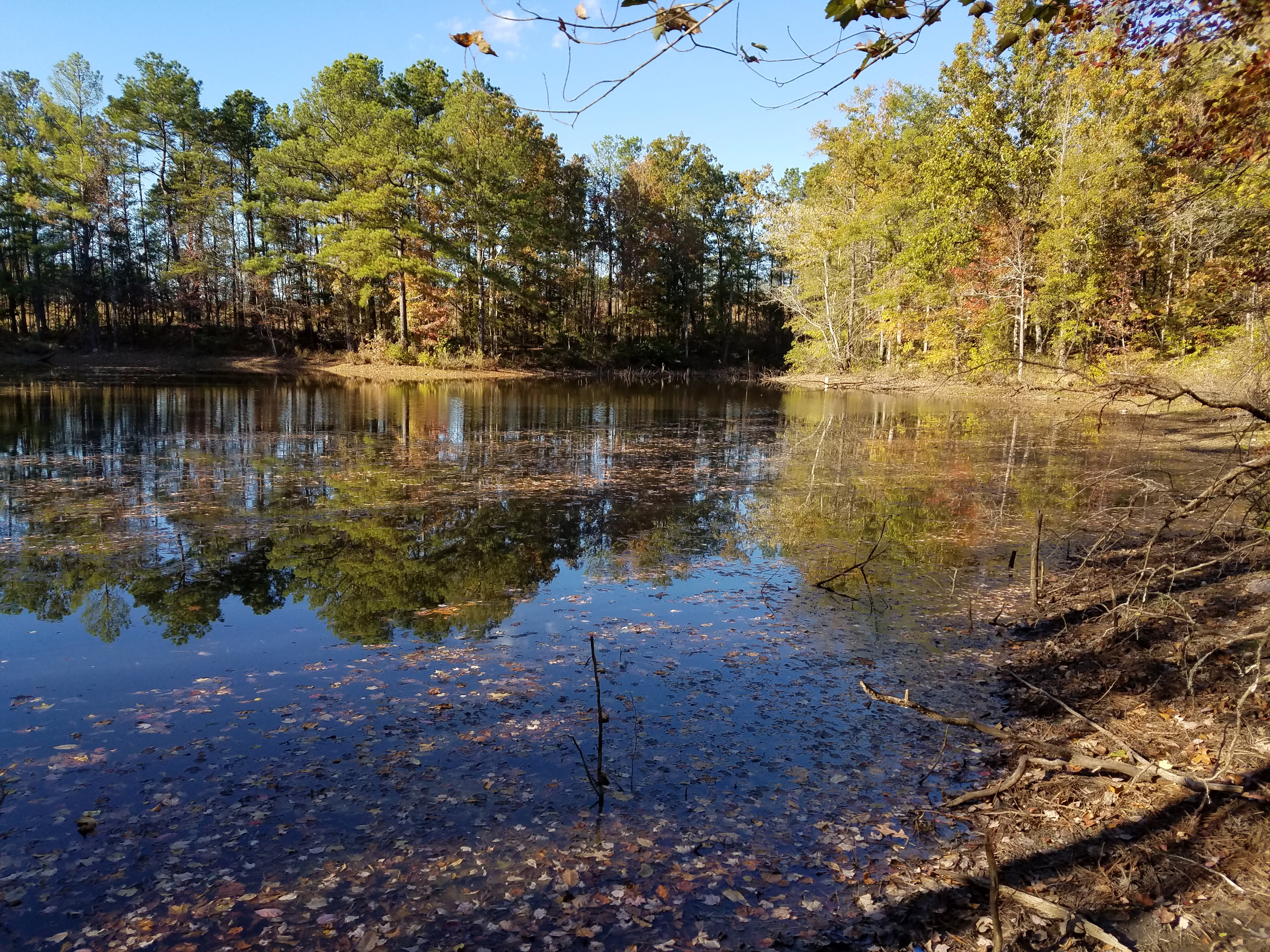 Cabin on the other side of pond