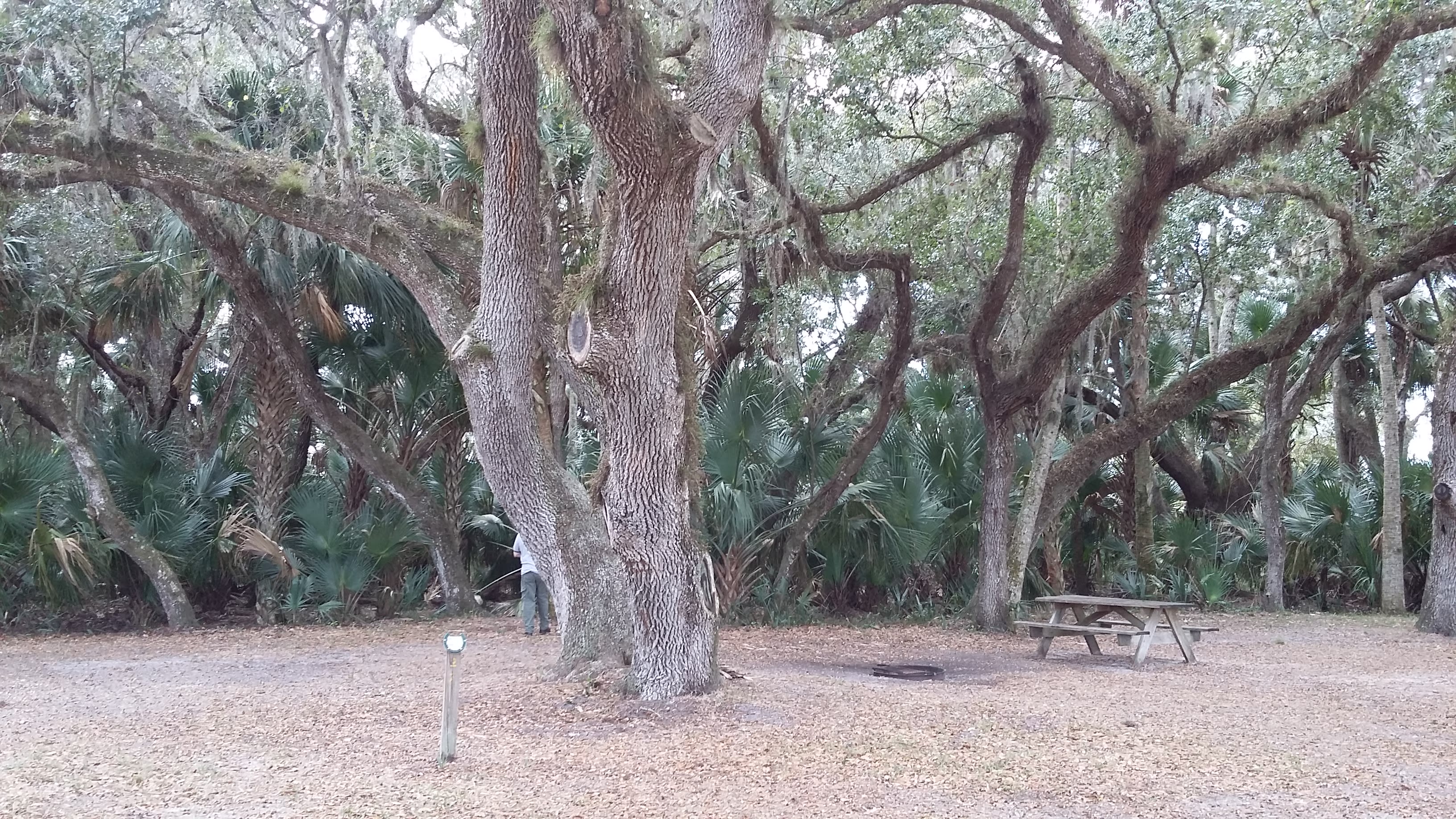 Lots of hiking trails
