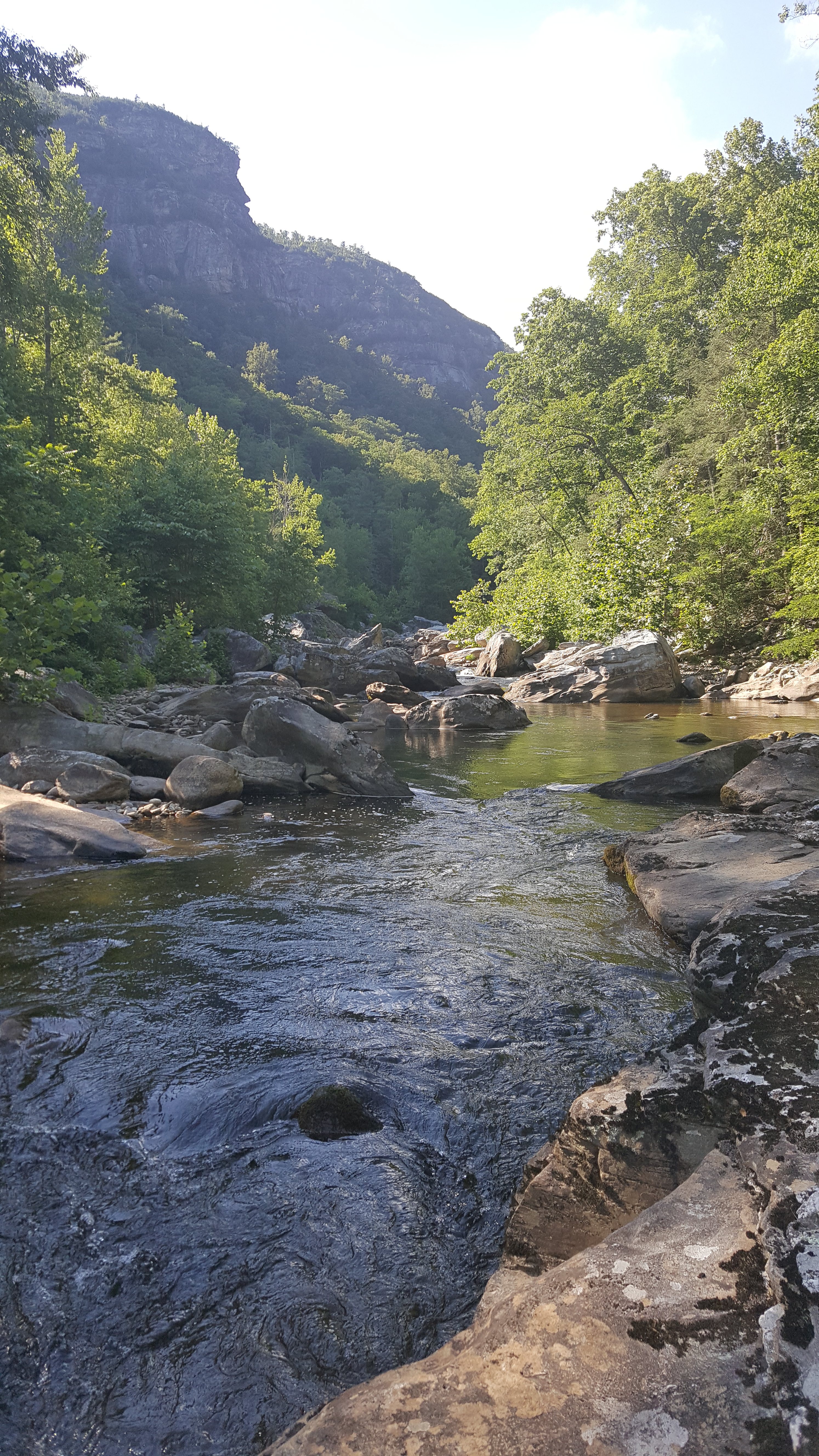 A shot from the middle of Linville River