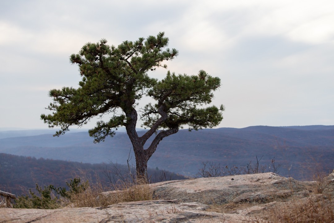 Excellent and rewarding hike up to Perkins Memorial at the top of Bear Mountain. 