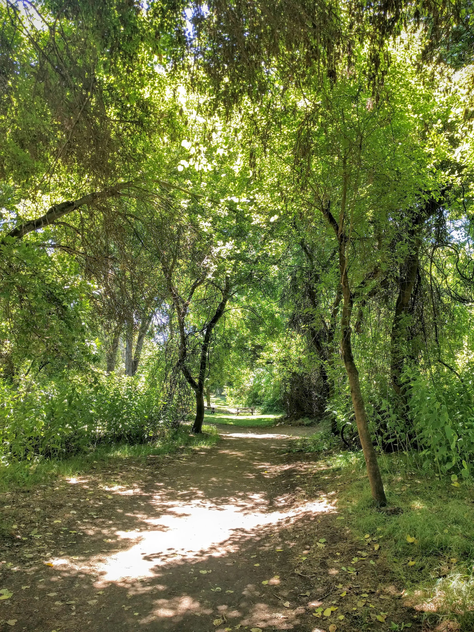 Caswell Memorial State Park