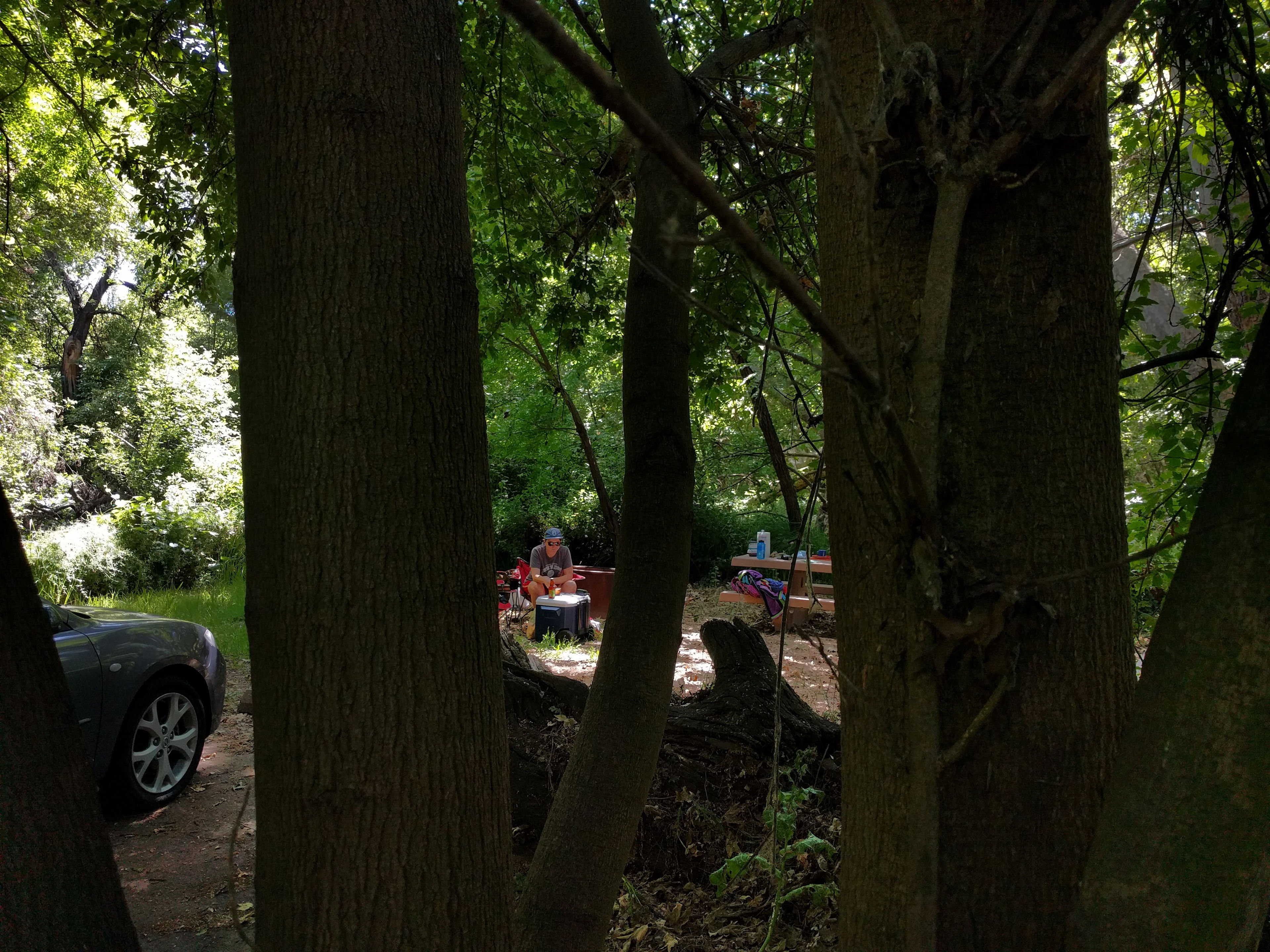 Caswell Memorial Campground