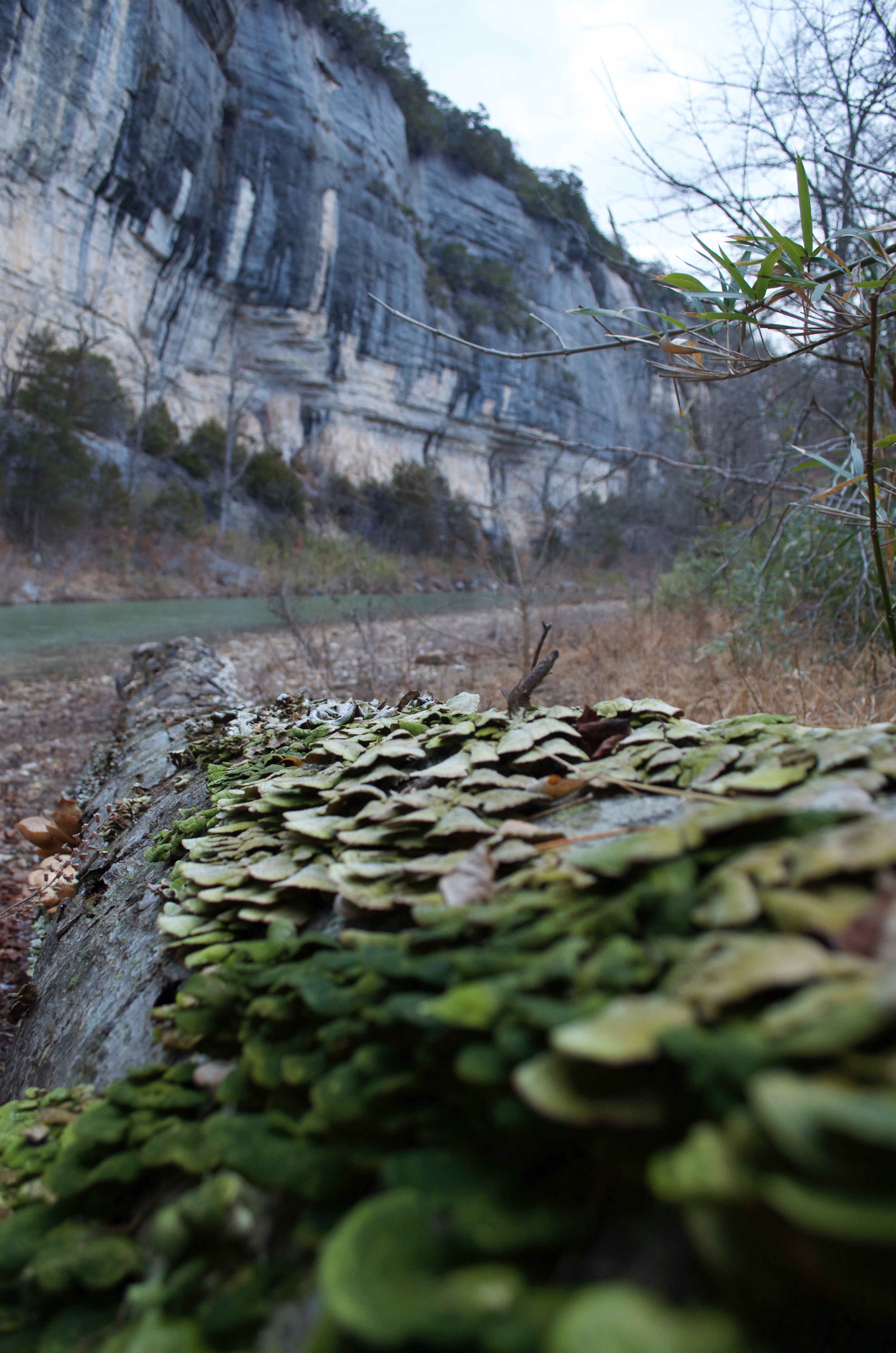 Playing by the River at the Steel Creek Campground