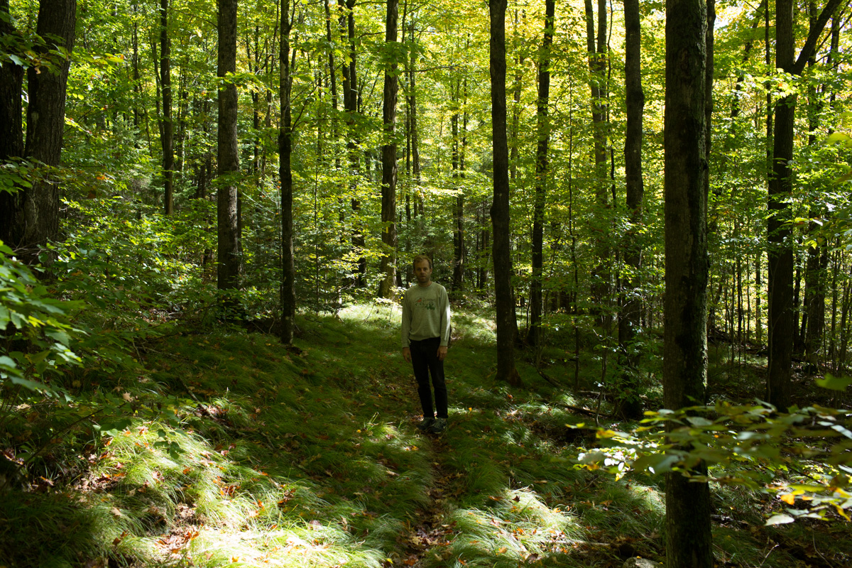 Chequamegon National Forest