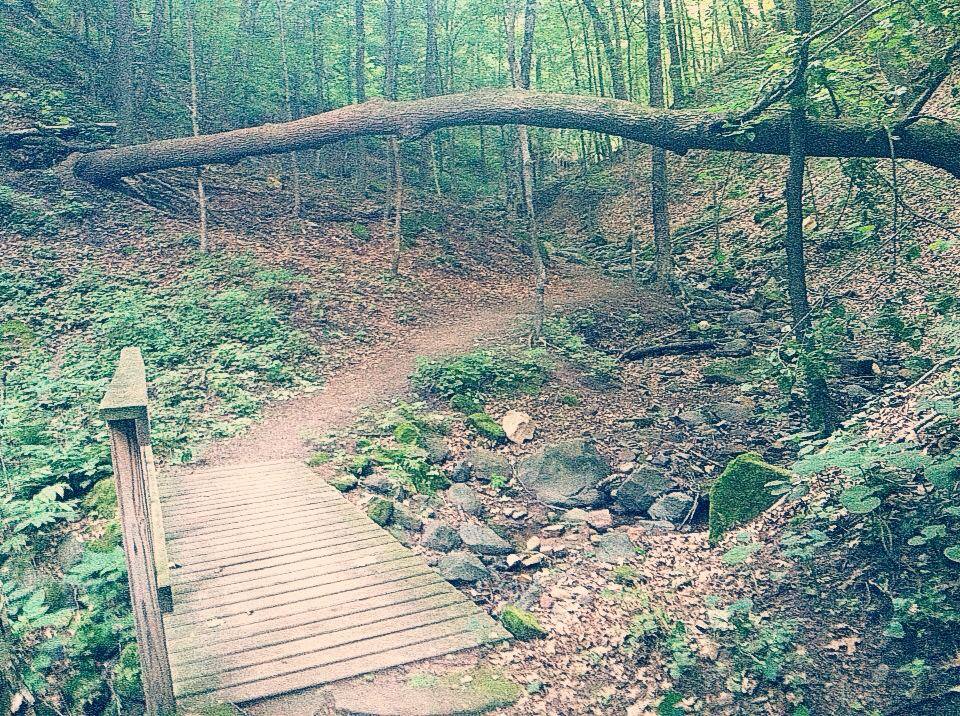 This park has secluded trails like this one , if you stay away from the pothole and riverboat exhibits . ( even those heavily populated areas are worth spending a few minutes at though ) 