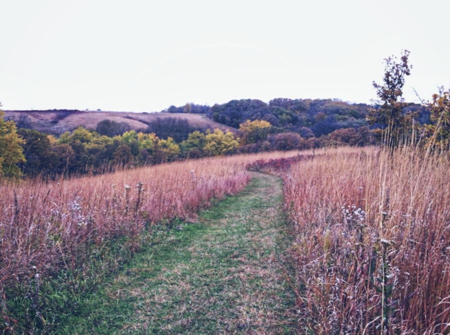Prairie trail at Kilen Woods .  