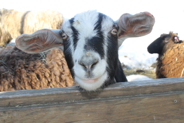 come on by - looking forward to meeting you!