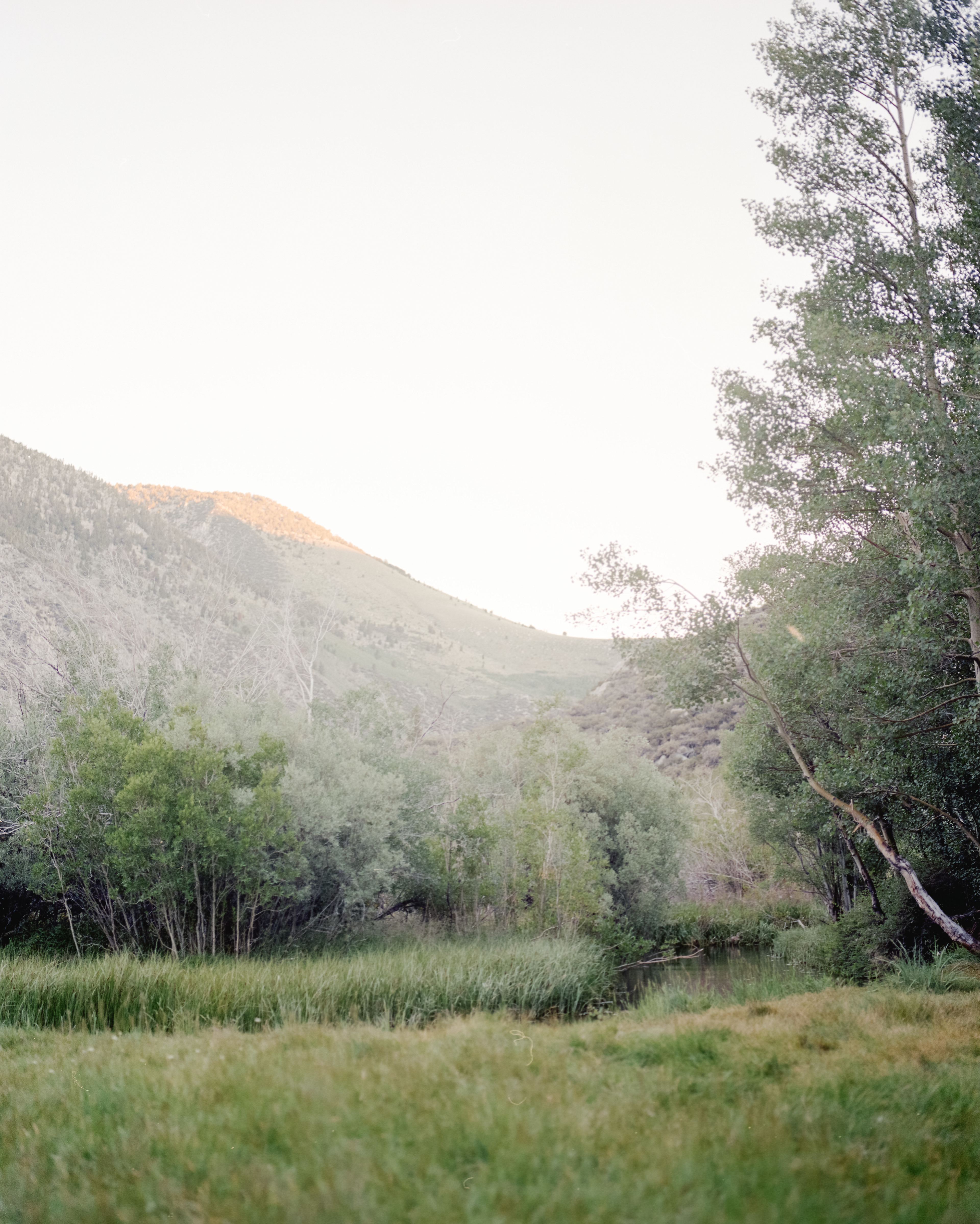 The creek and meadow that runs 20 feet from the campsite.