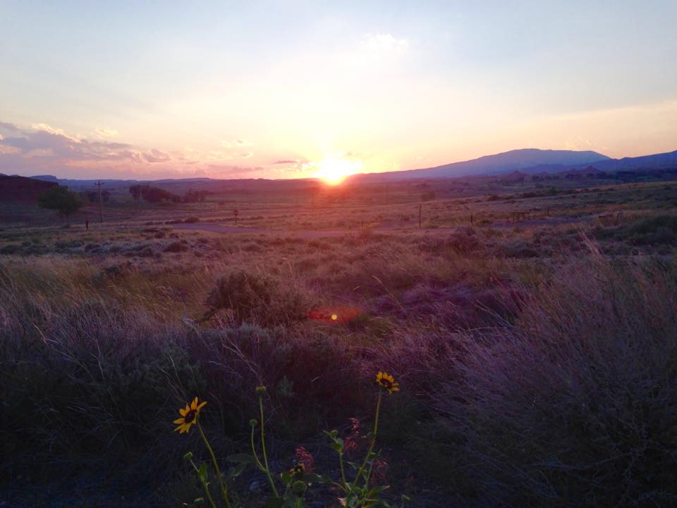 Sunset with Great Basin plants