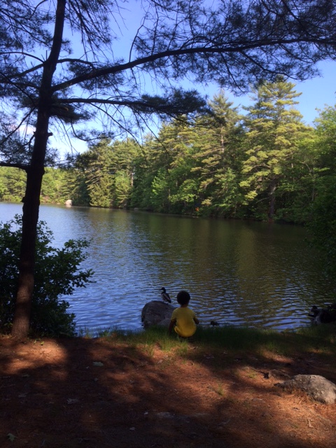 site on the water of horse Island...Beautiful!