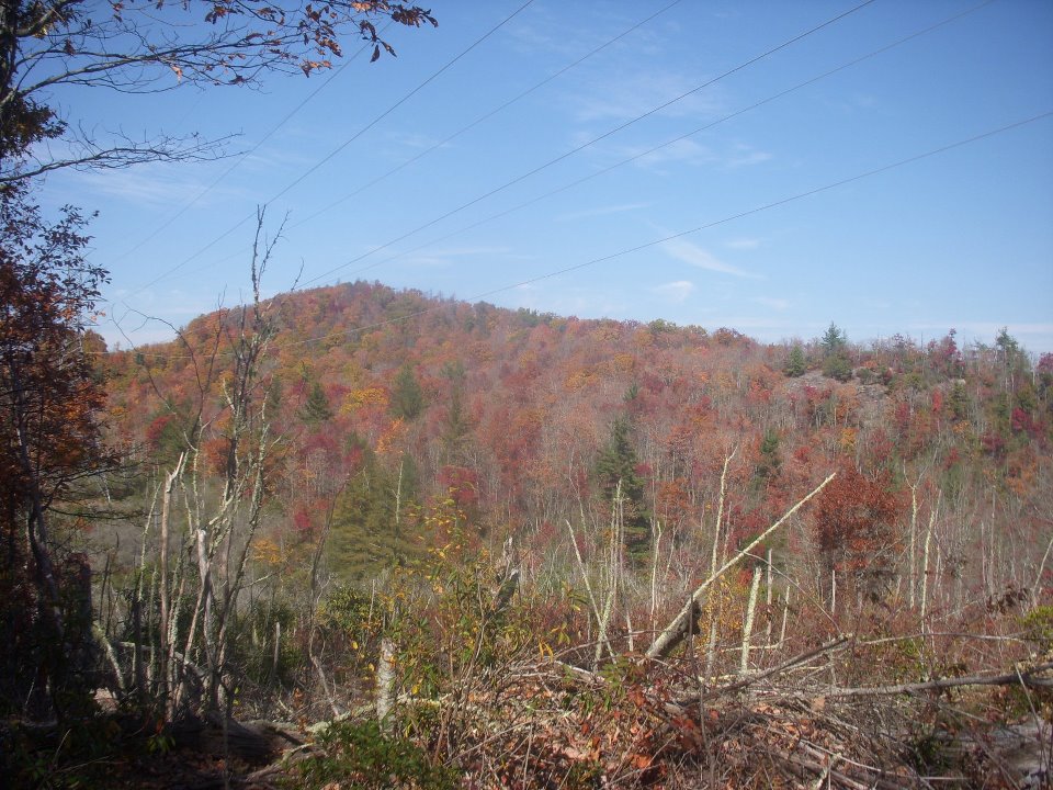 Panthertown Valley Backcountry Area