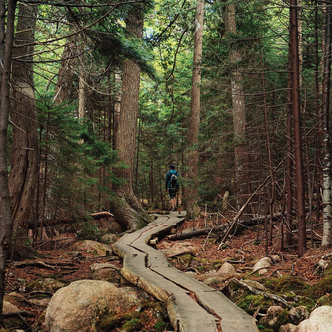 Blackwoods Campground