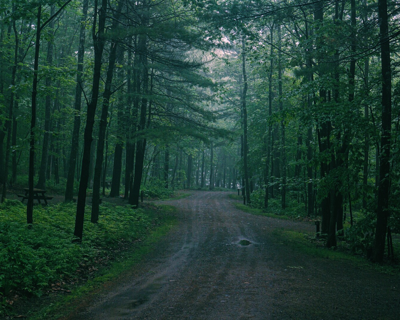Camden Lower Campground