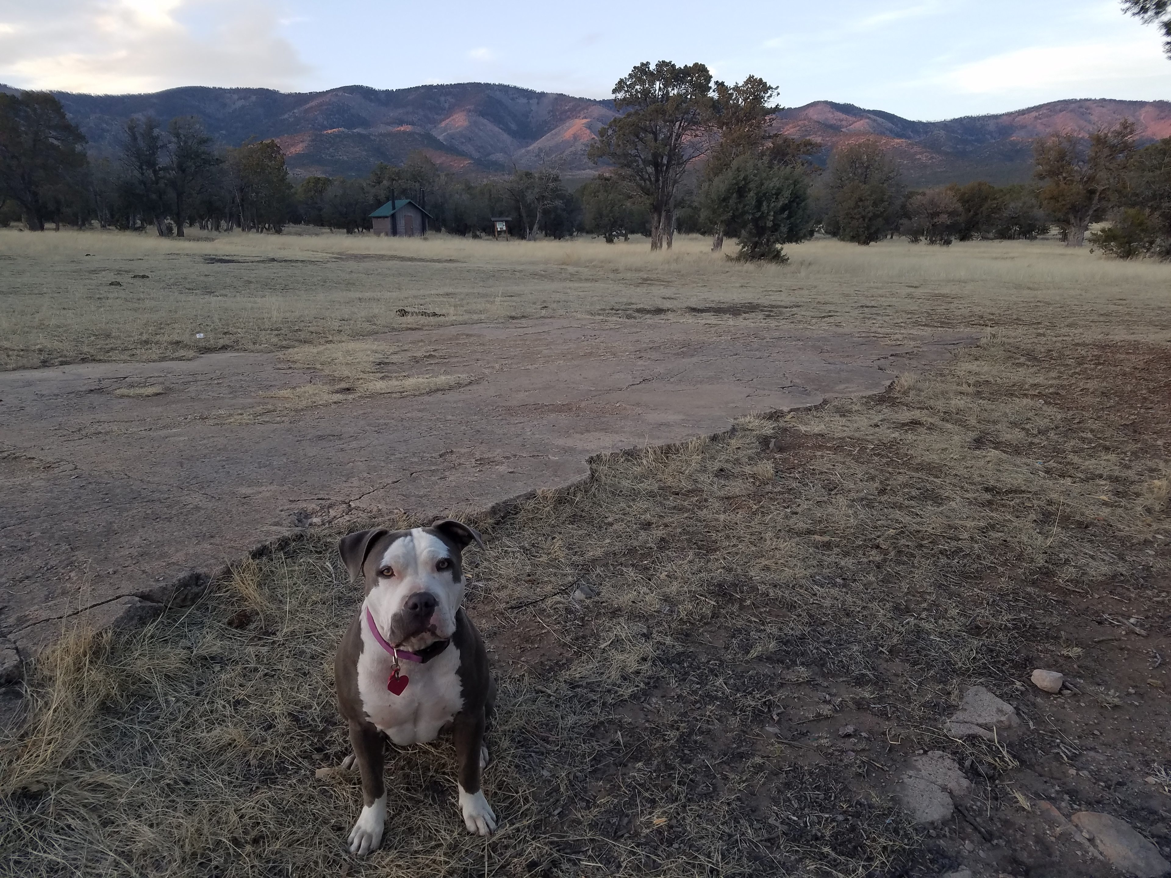 View of the mountains at sunset.